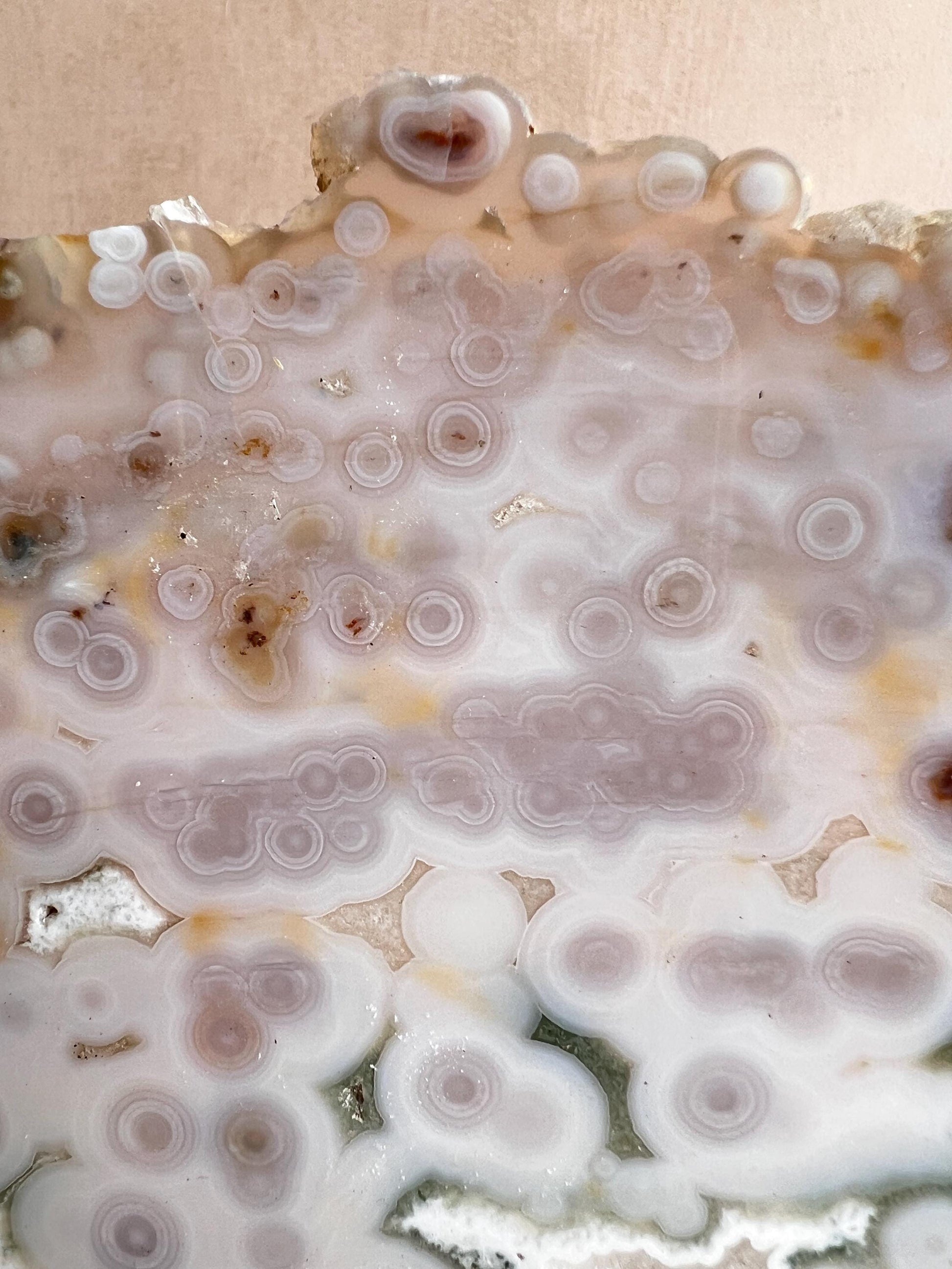 Vein 1 - 2 Ocean Jasper Slab White and Green with Bullseye Orbs