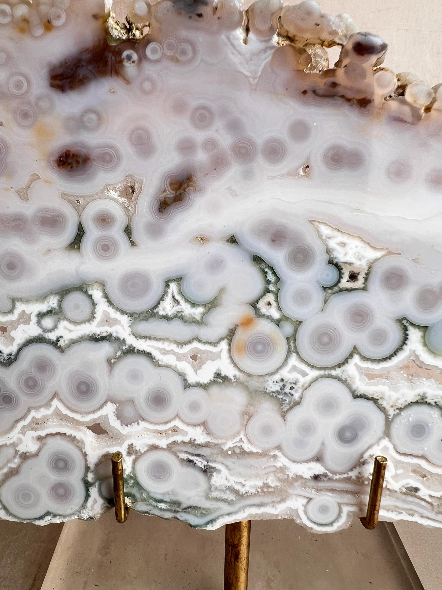 Vein 1 - 2 Ocean Jasper Slab White and Green with Bullseye Orbs