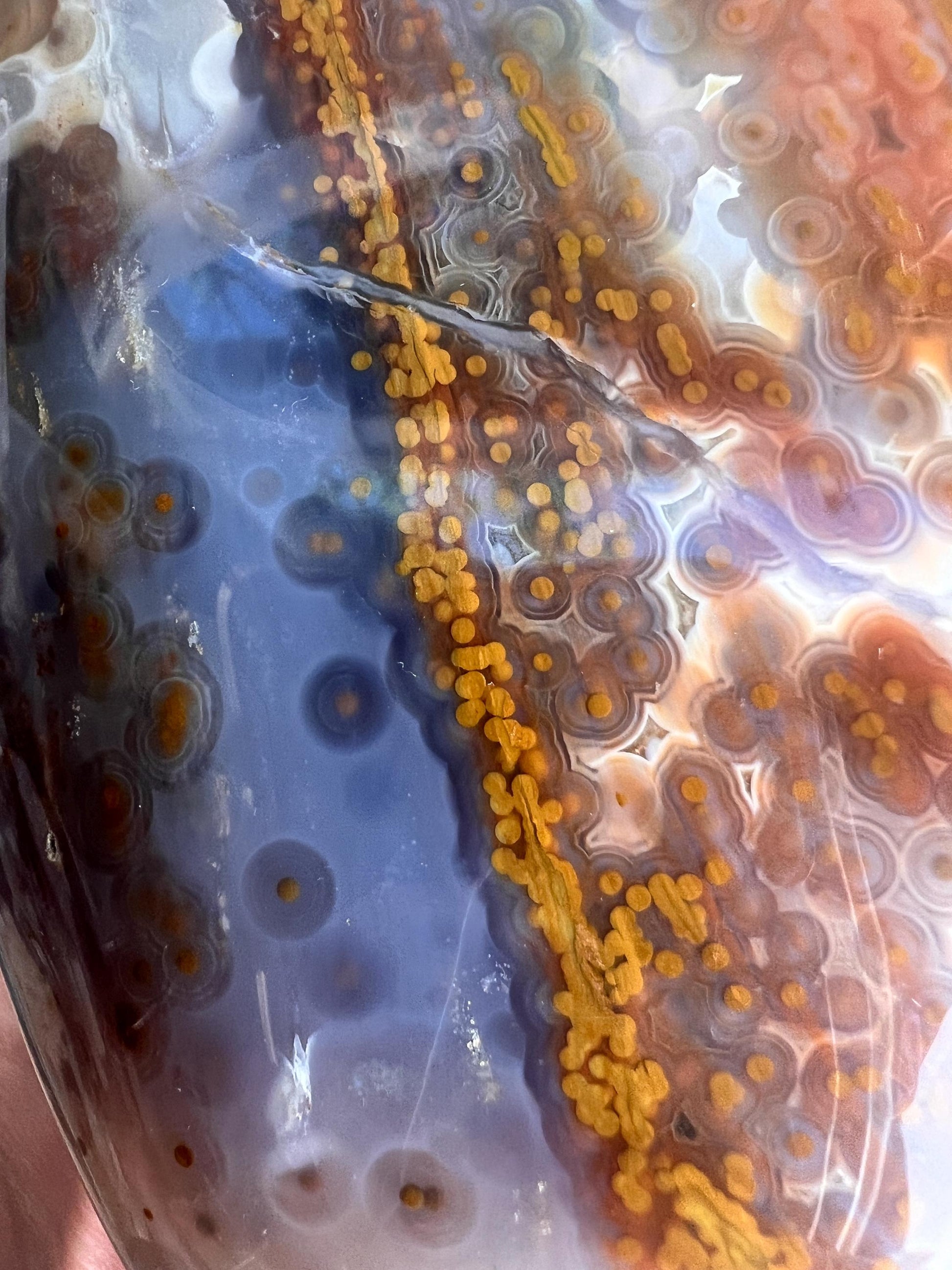 High Grade XL jelly Ocean Jasper Vein 3 - 4 Free Form