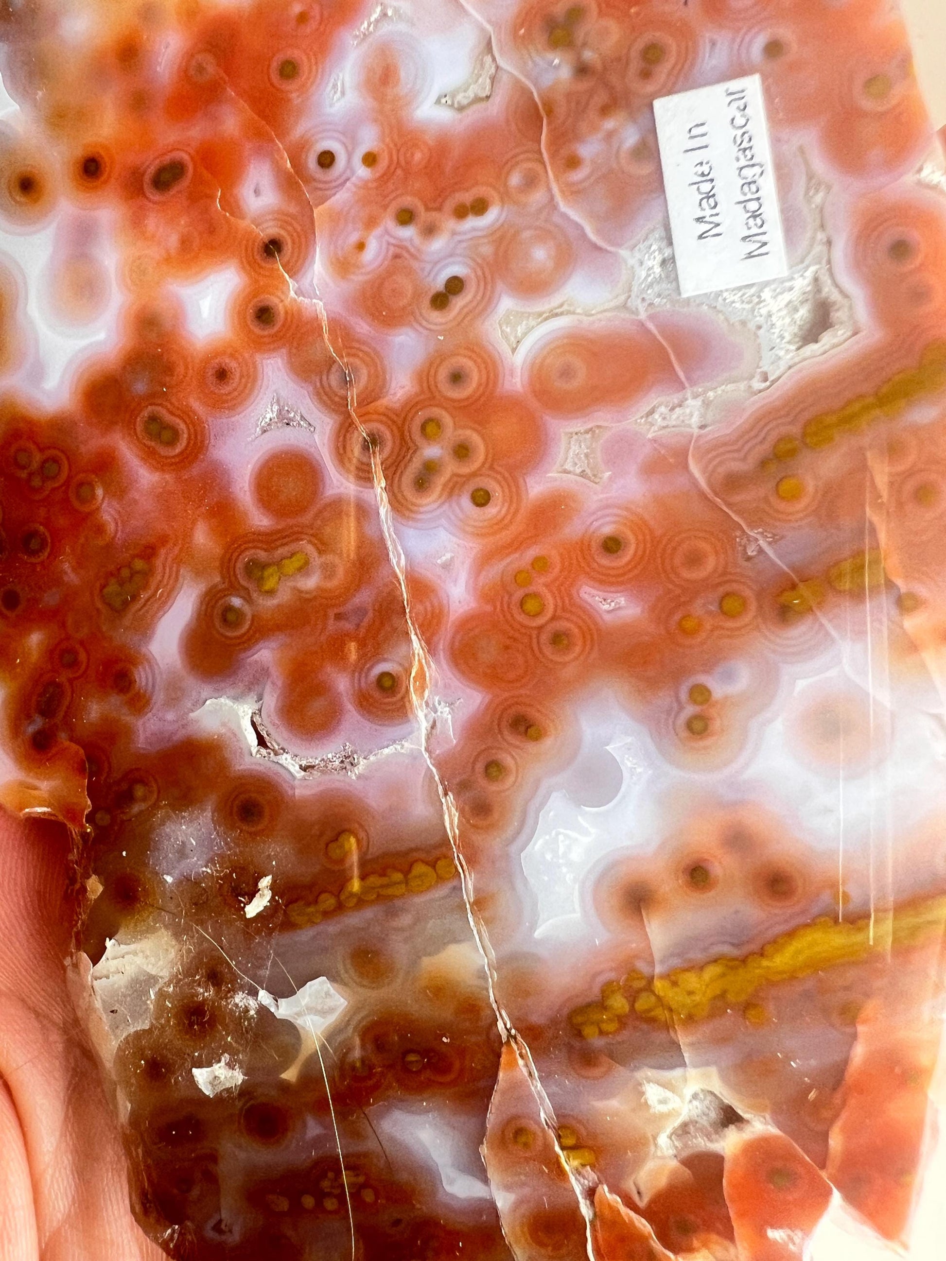 Jelly Ocean Jasper Vein 3 - 4 Rare Red Slab / High Translucency