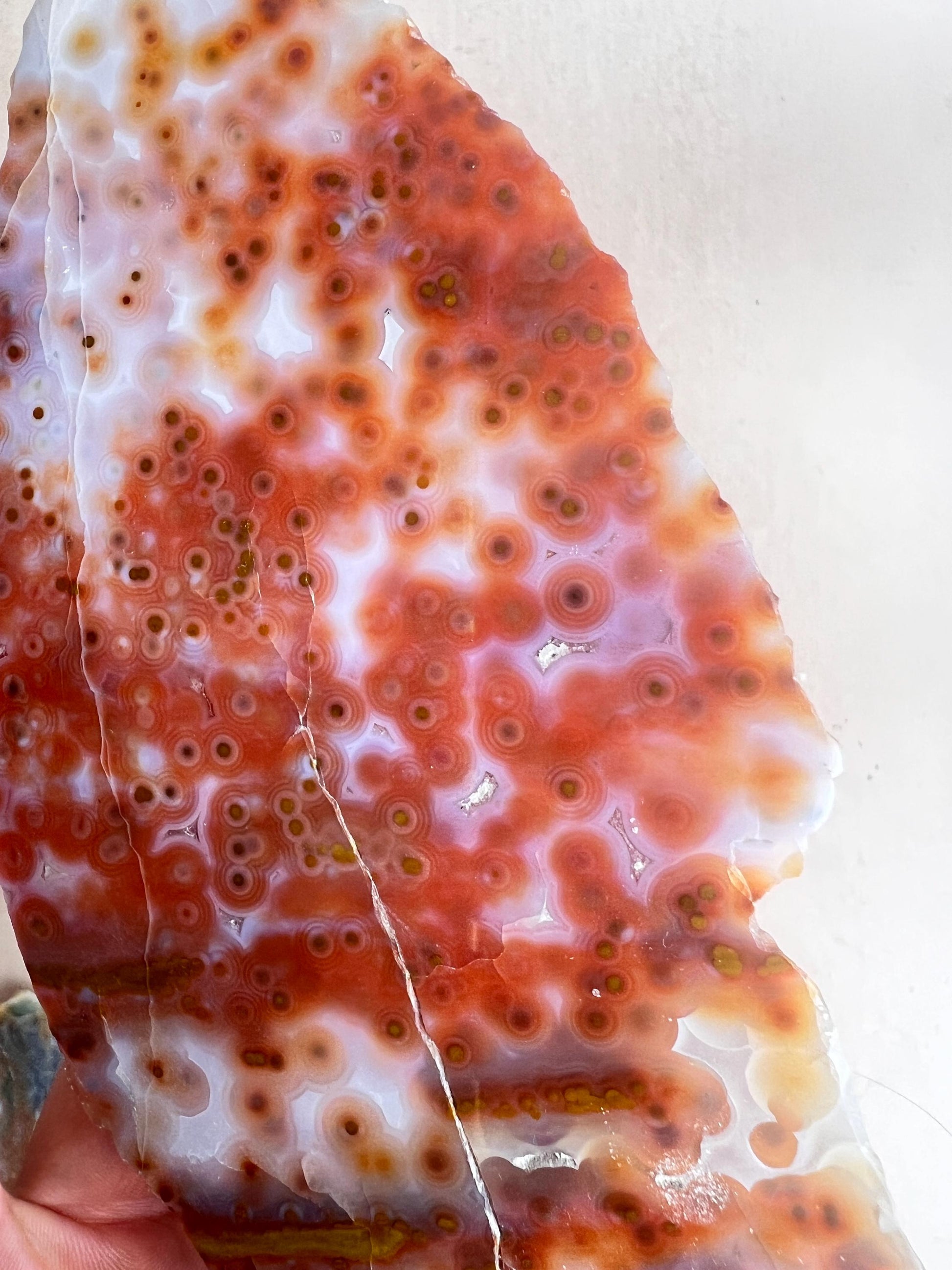 Jelly Ocean Jasper Vein 3 - 4 Rare Red Slab / High Translucency