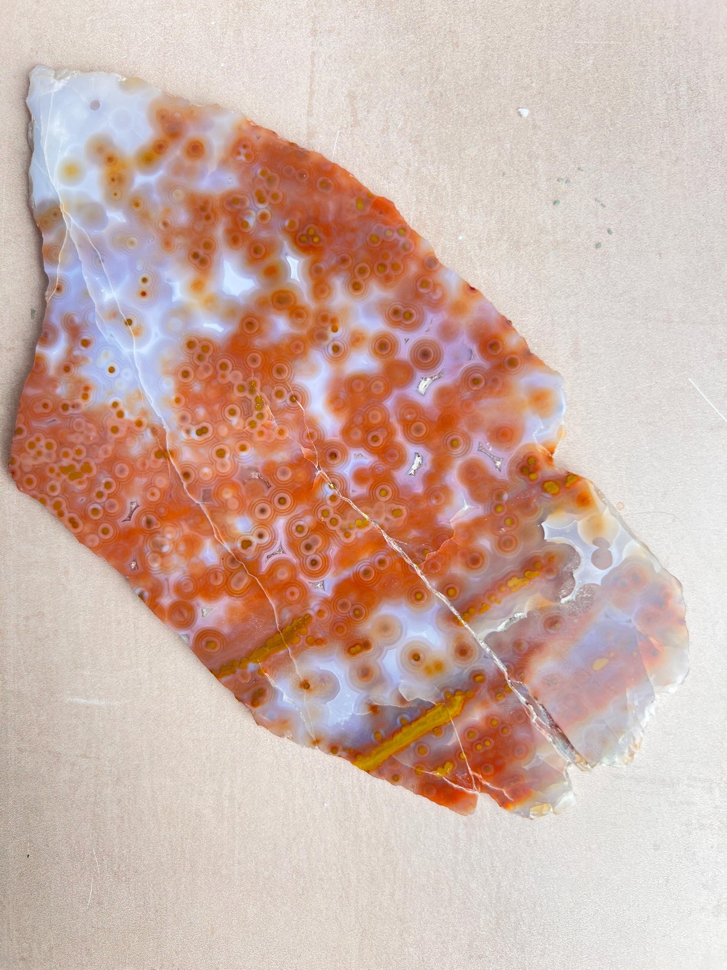 Jelly Ocean Jasper Vein 3 - 4 Rare Red Slab / High Translucency