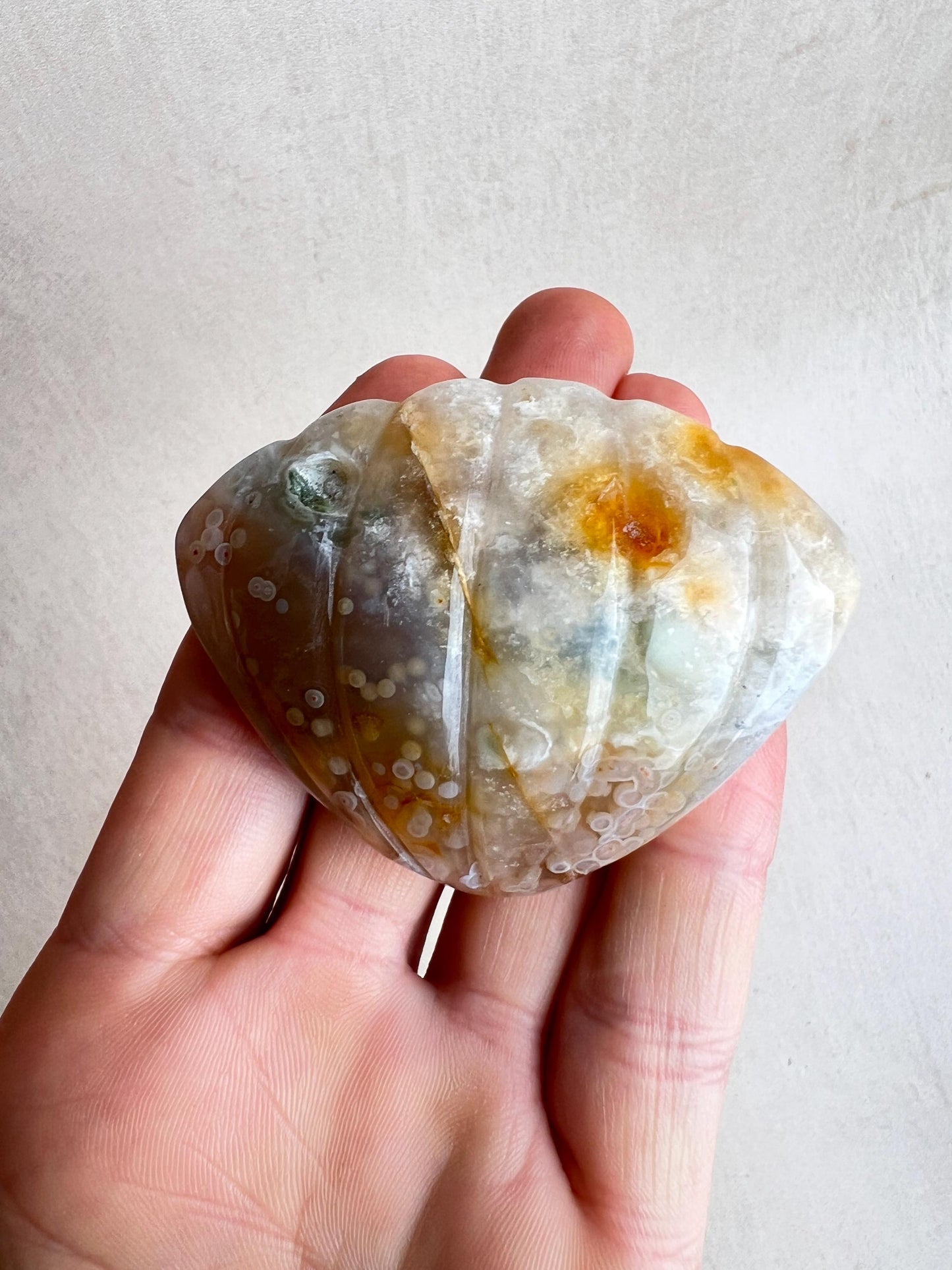 Rare Ocean Jasper XL Seashell Carving: Crystal Seashell Decor - Vein 1-2
