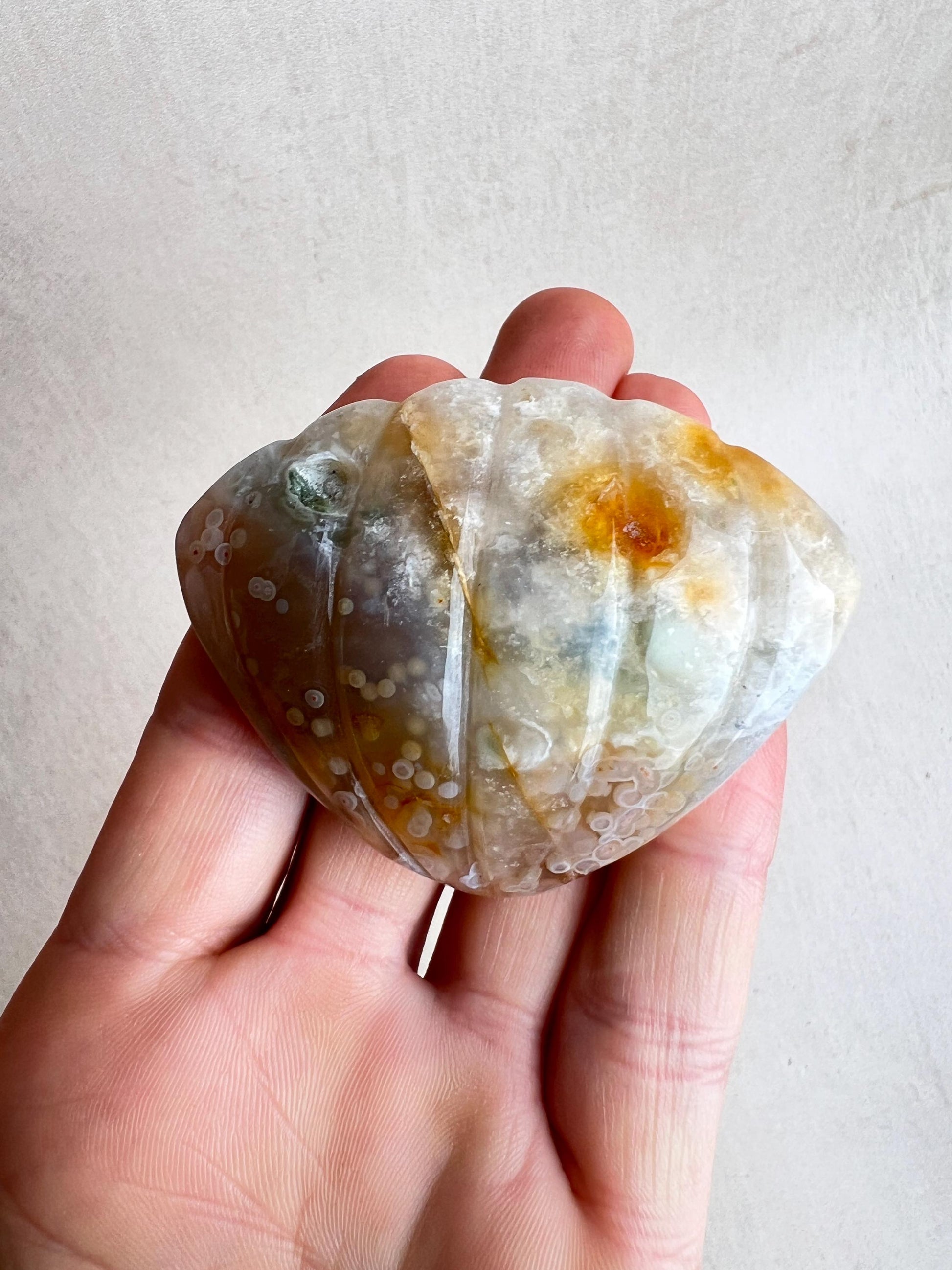 Rare Ocean Jasper XL Seashell Carving: Crystal Seashell Decor - Vein 1-2