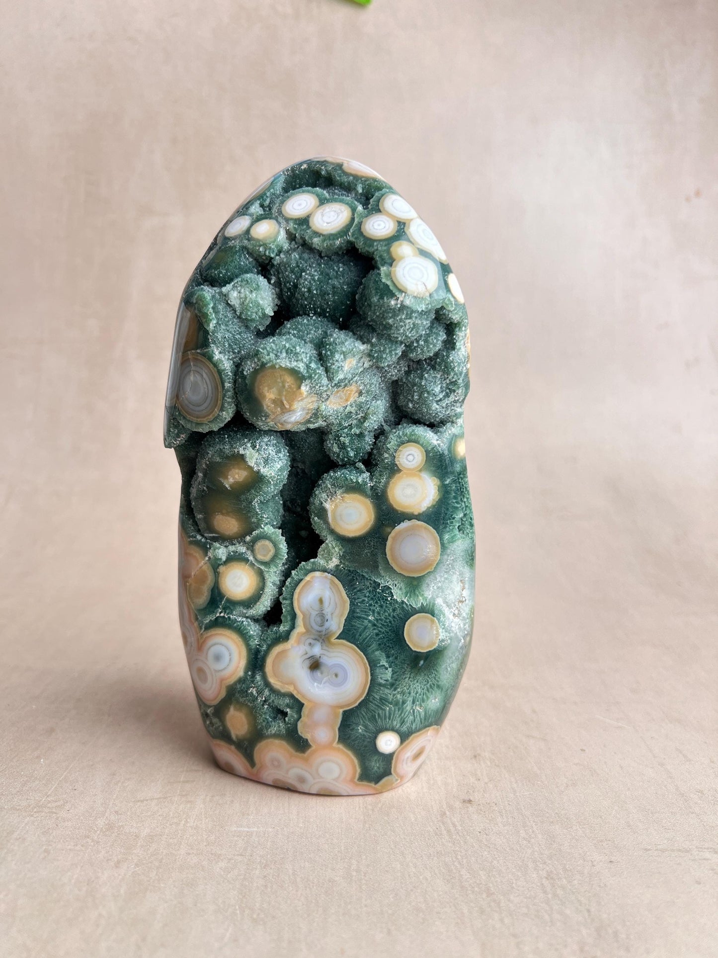 Vein 8 Ocean Jasper Freeform: Botryoidal Druzy, Madagascar Collector's Crystal