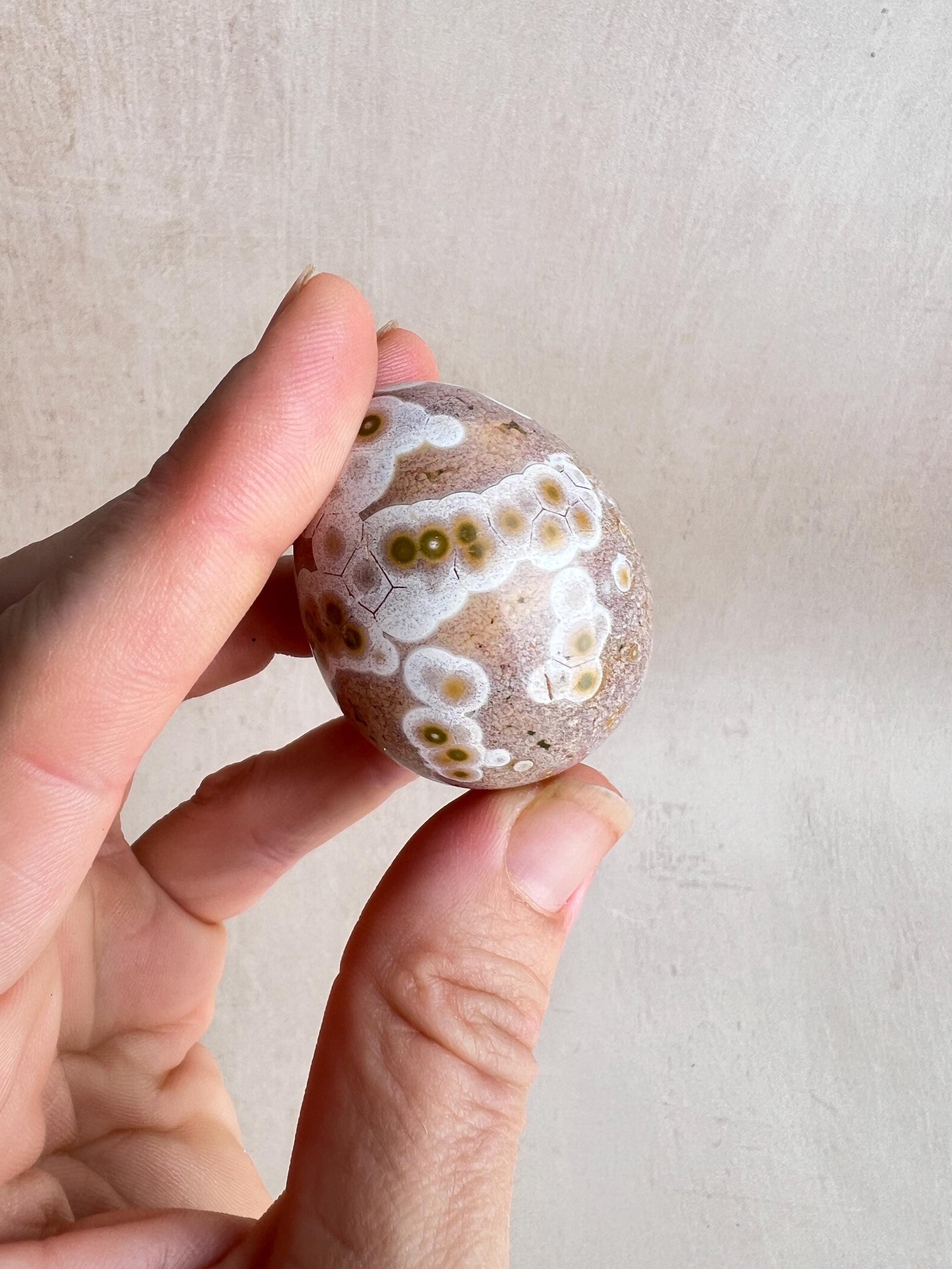 Polished Ocean Jasper Egg – Natural Healing Crystal Decor (43 mm)