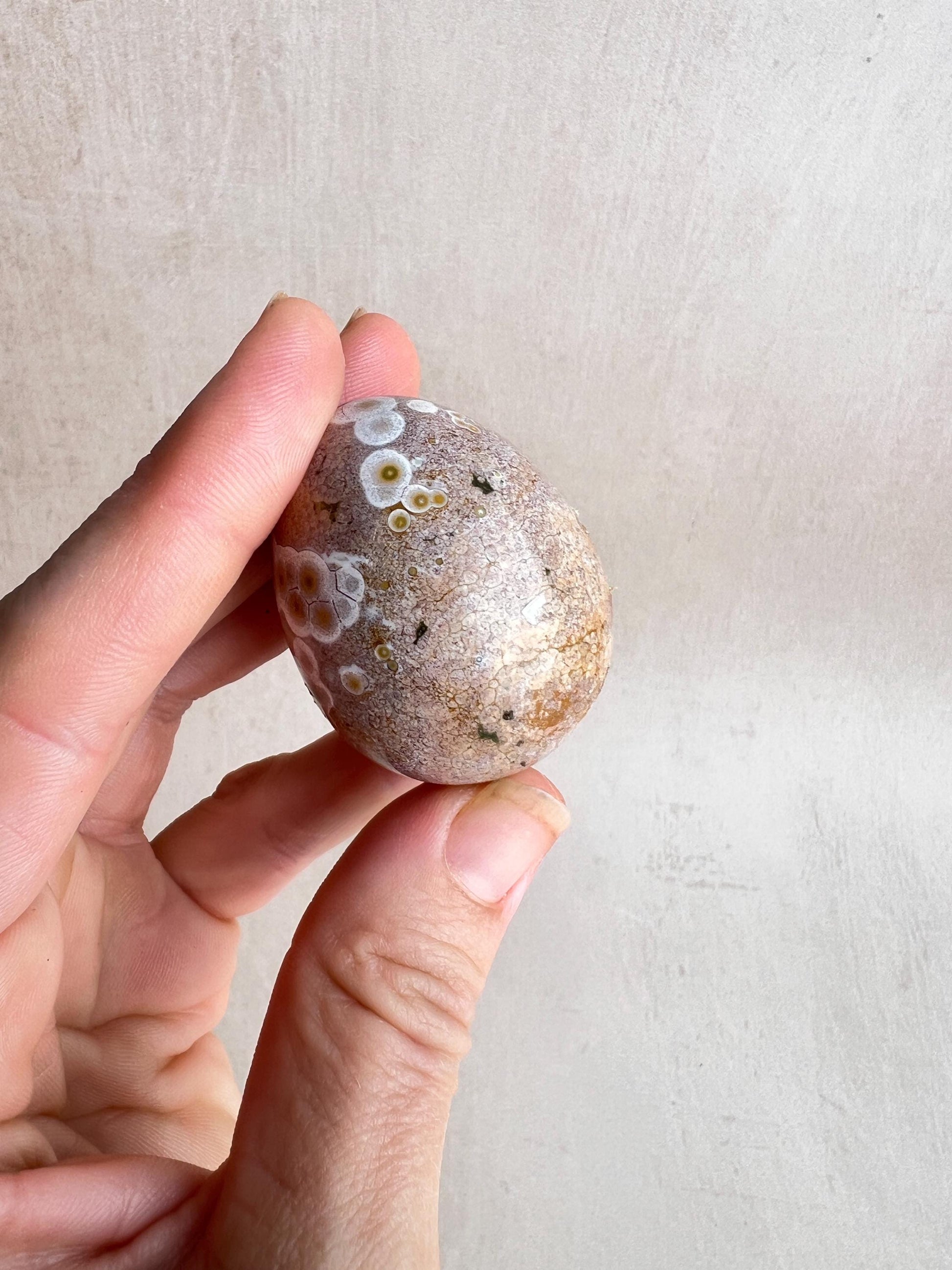 Polished Ocean Jasper Egg – Natural Healing Crystal Decor (43 mm)