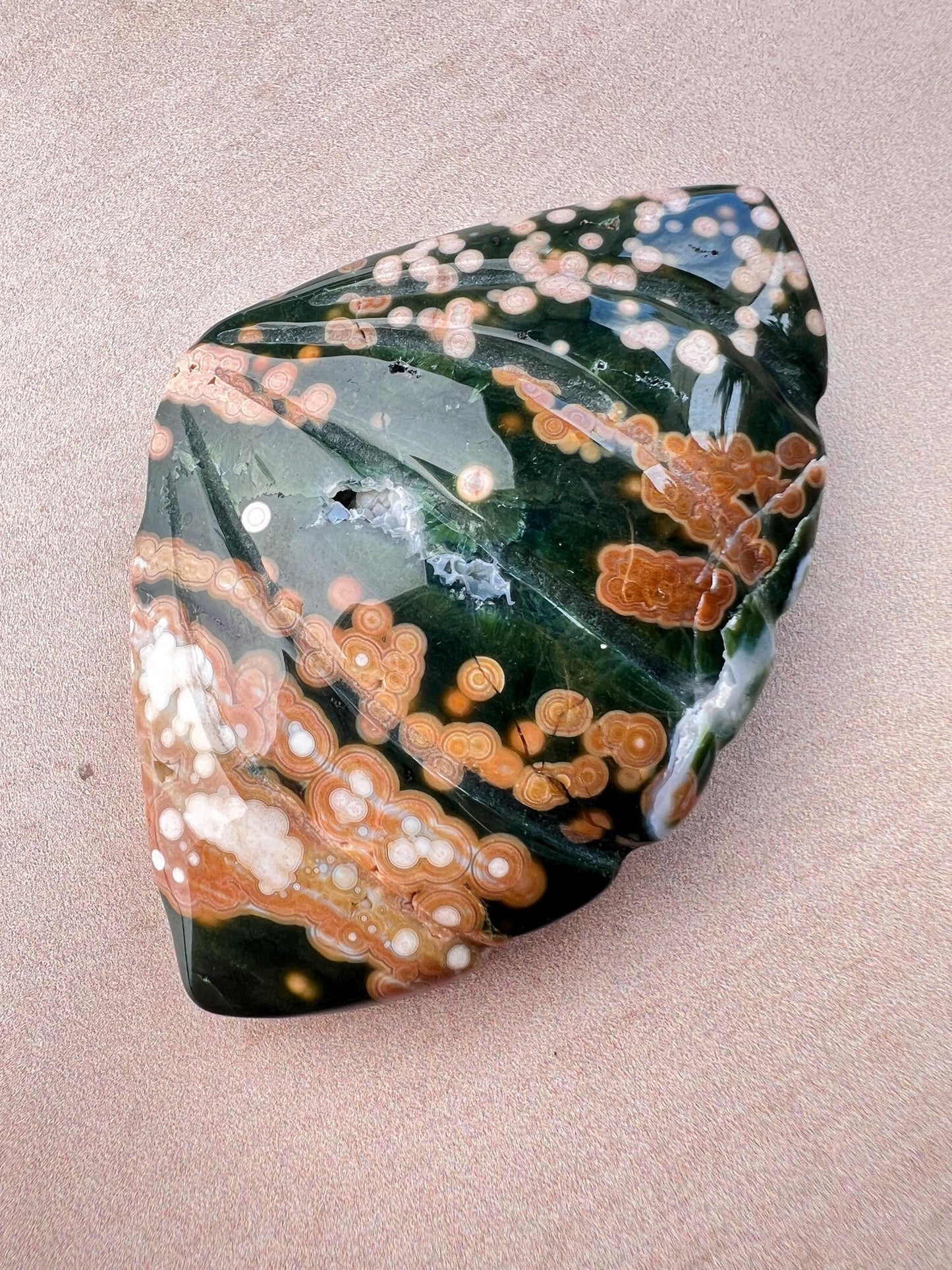 Rare Ocean Jasper Sea Shell Carving: Earthy Boho Beach Decor Specimen