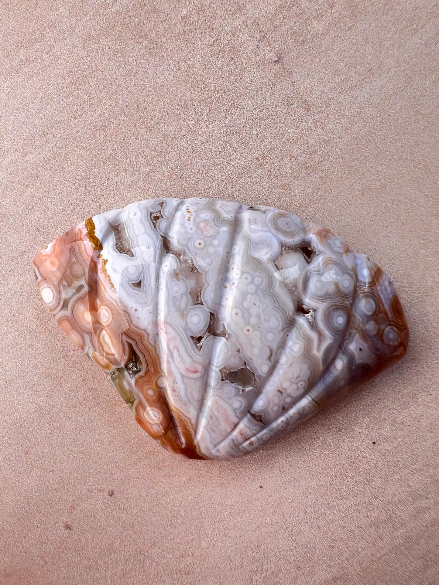 Rare Ocean Jasper Sea Shell Carving: Crystal Shell Beach Decor