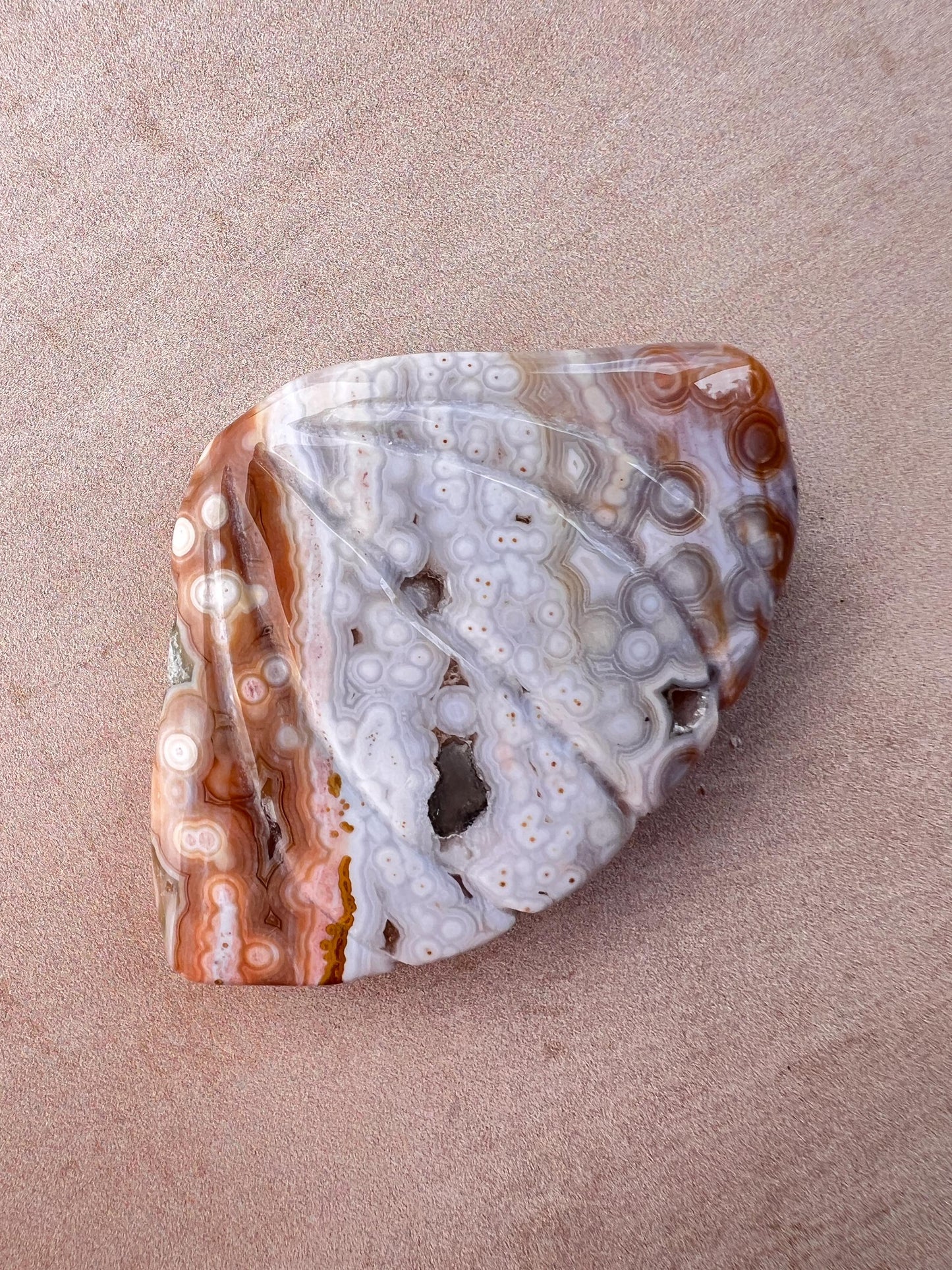 Rare Ocean Jasper Sea Shell Carving: Crystal Shell Beach Decor