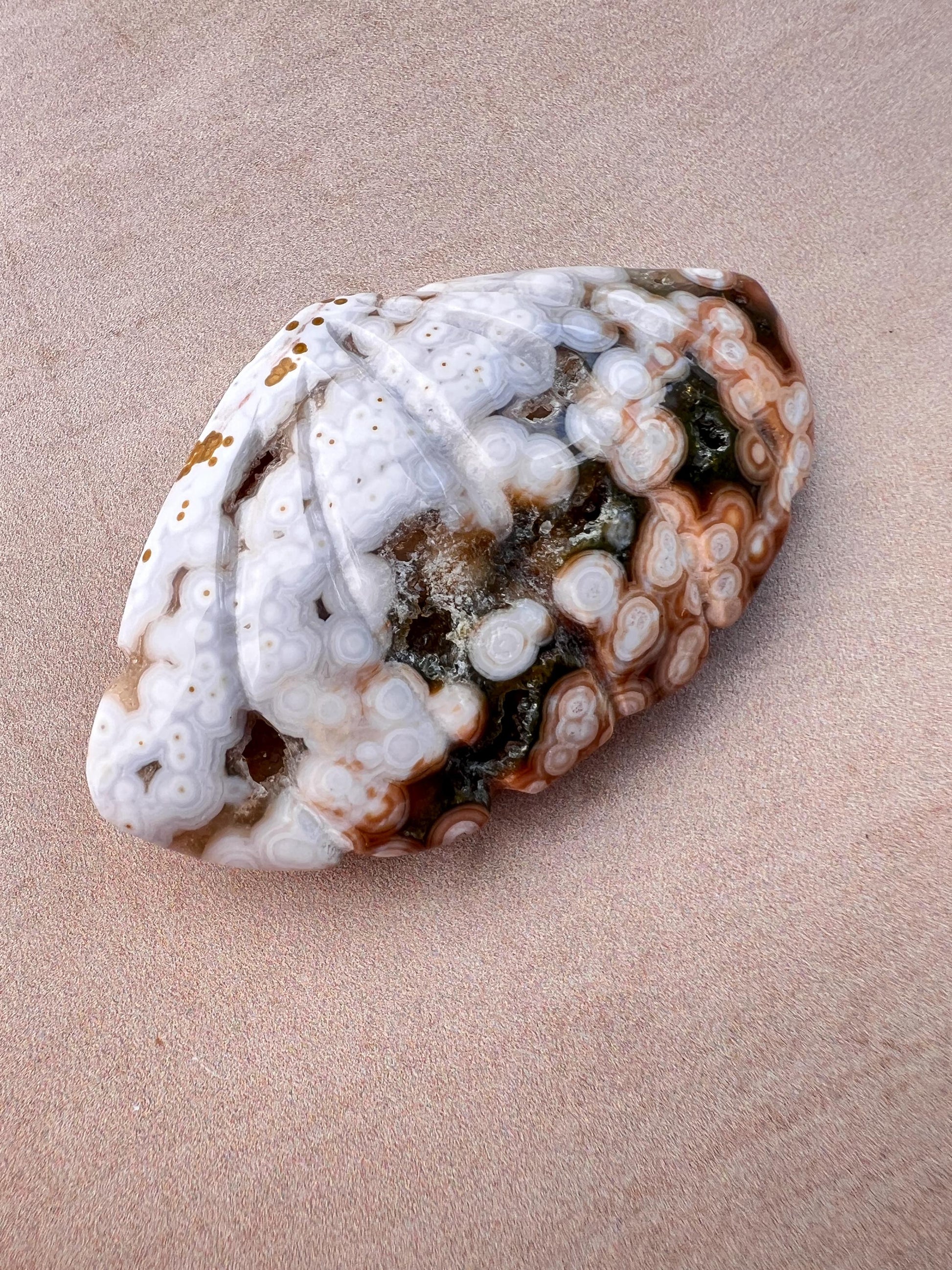 Rare Ocean Jasper Sea Shell Carving: Crystal Shell Beach Decor
