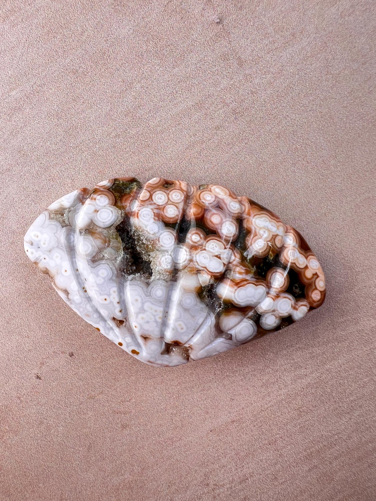 Rare Ocean Jasper Sea Shell Carving: Crystal Shell Beach Decor