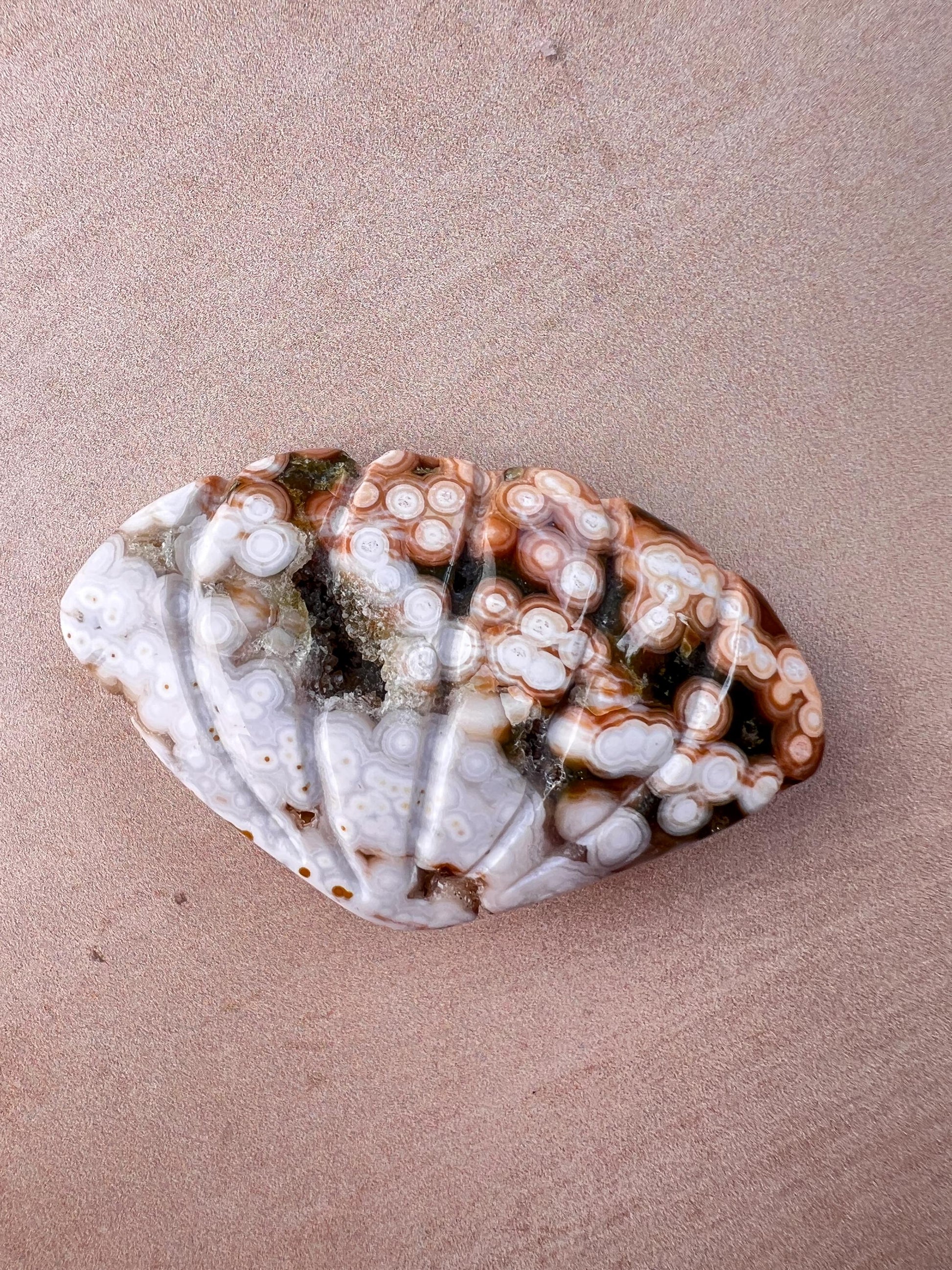 Rare Ocean Jasper Sea Shell Carving: Crystal Shell Beach Decor