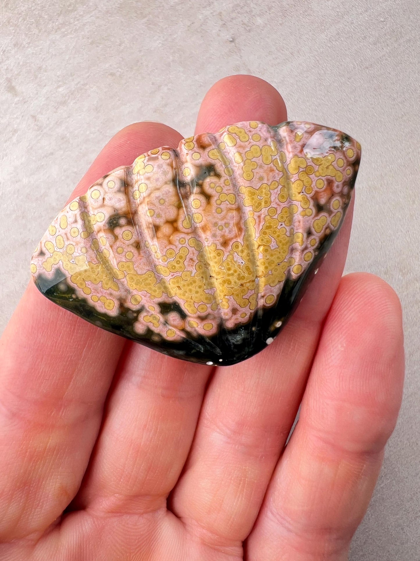 Ocean Jasper Sea Shell Carving: Rare Collector Specimen, Beach Boho Decor