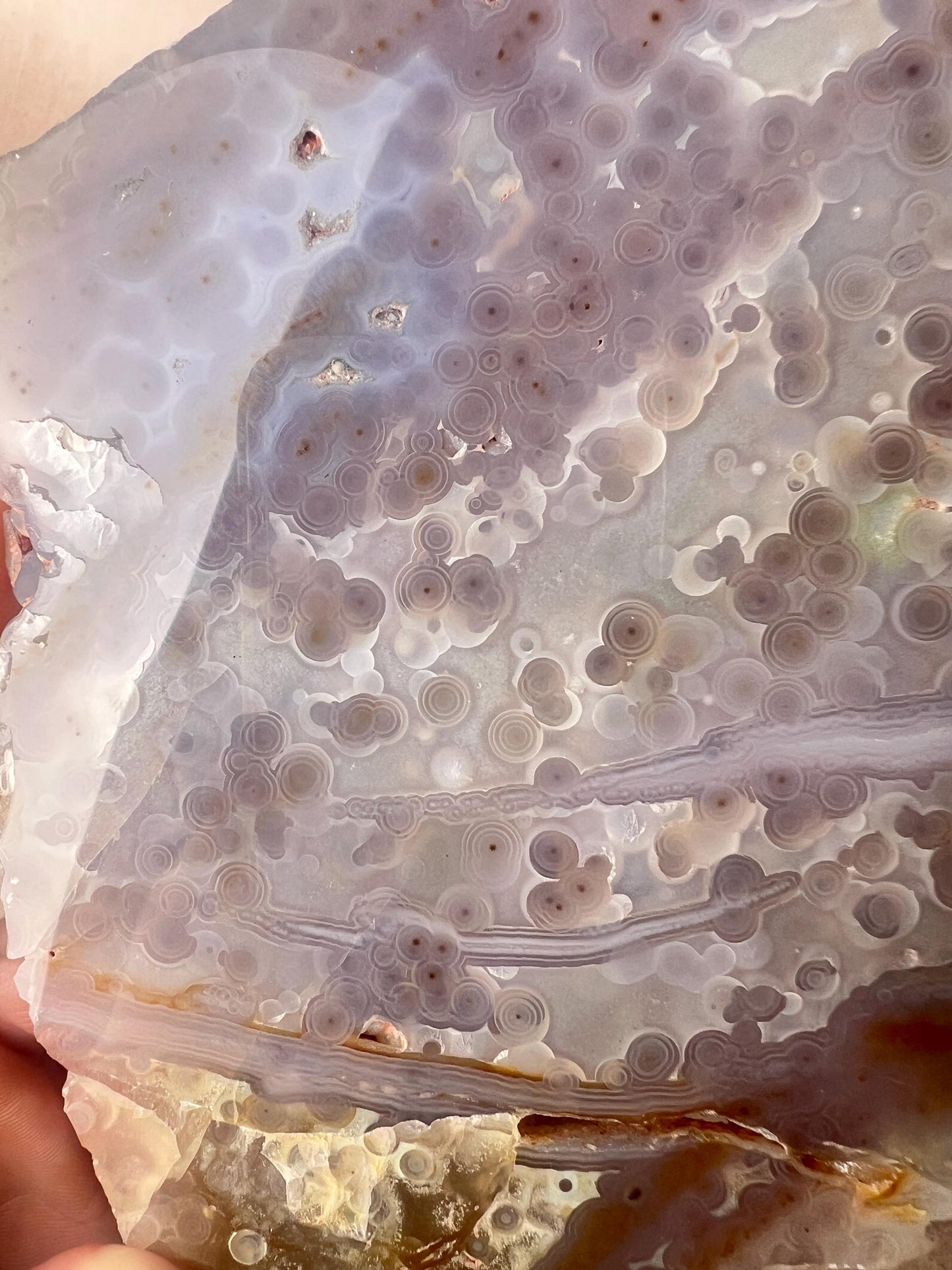 Ocean Jasper Jelly Slab: Old Stock Vein 3-4