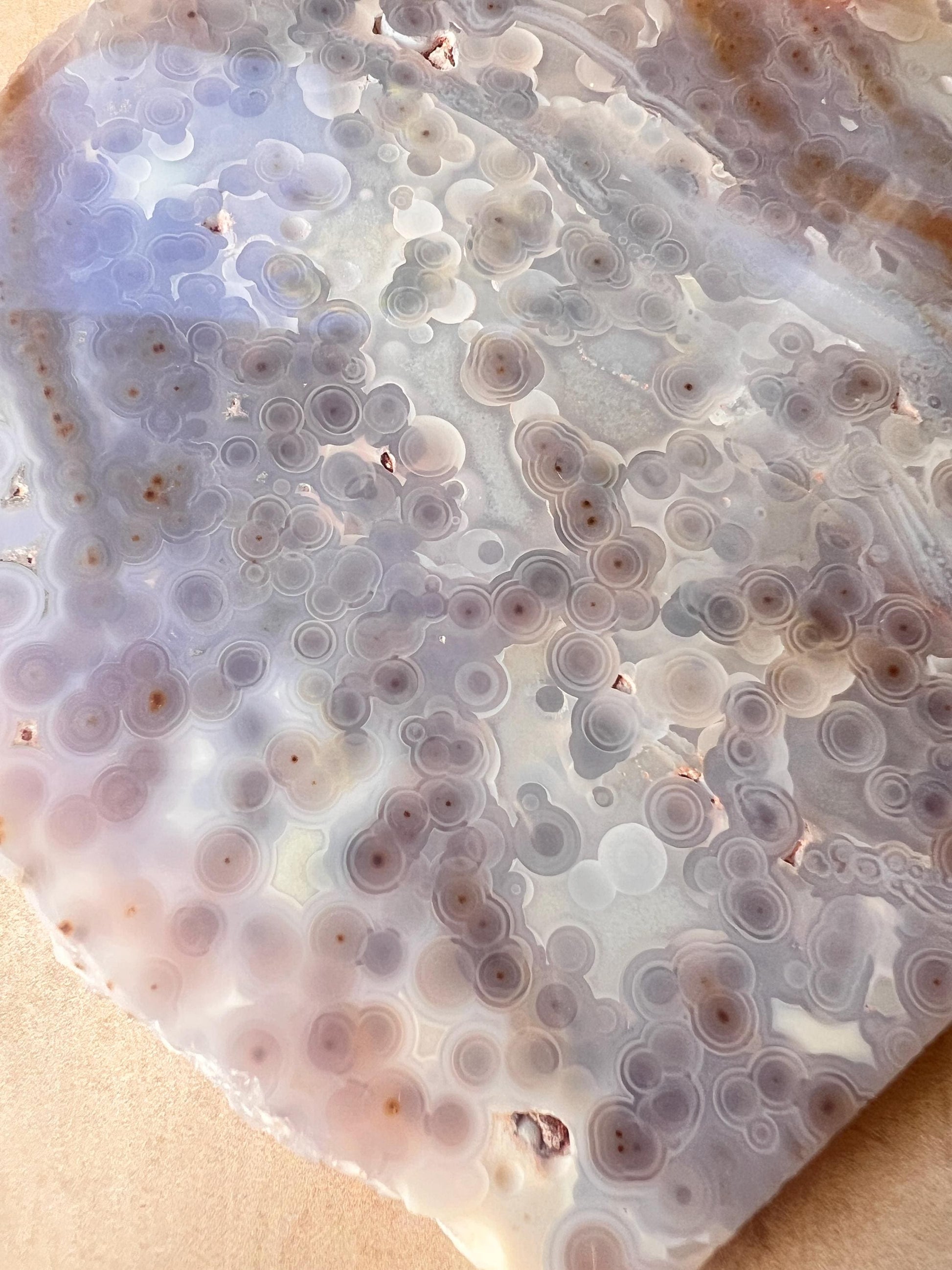 Ocean Jasper Jelly Slab: Old Stock Vein 3-4