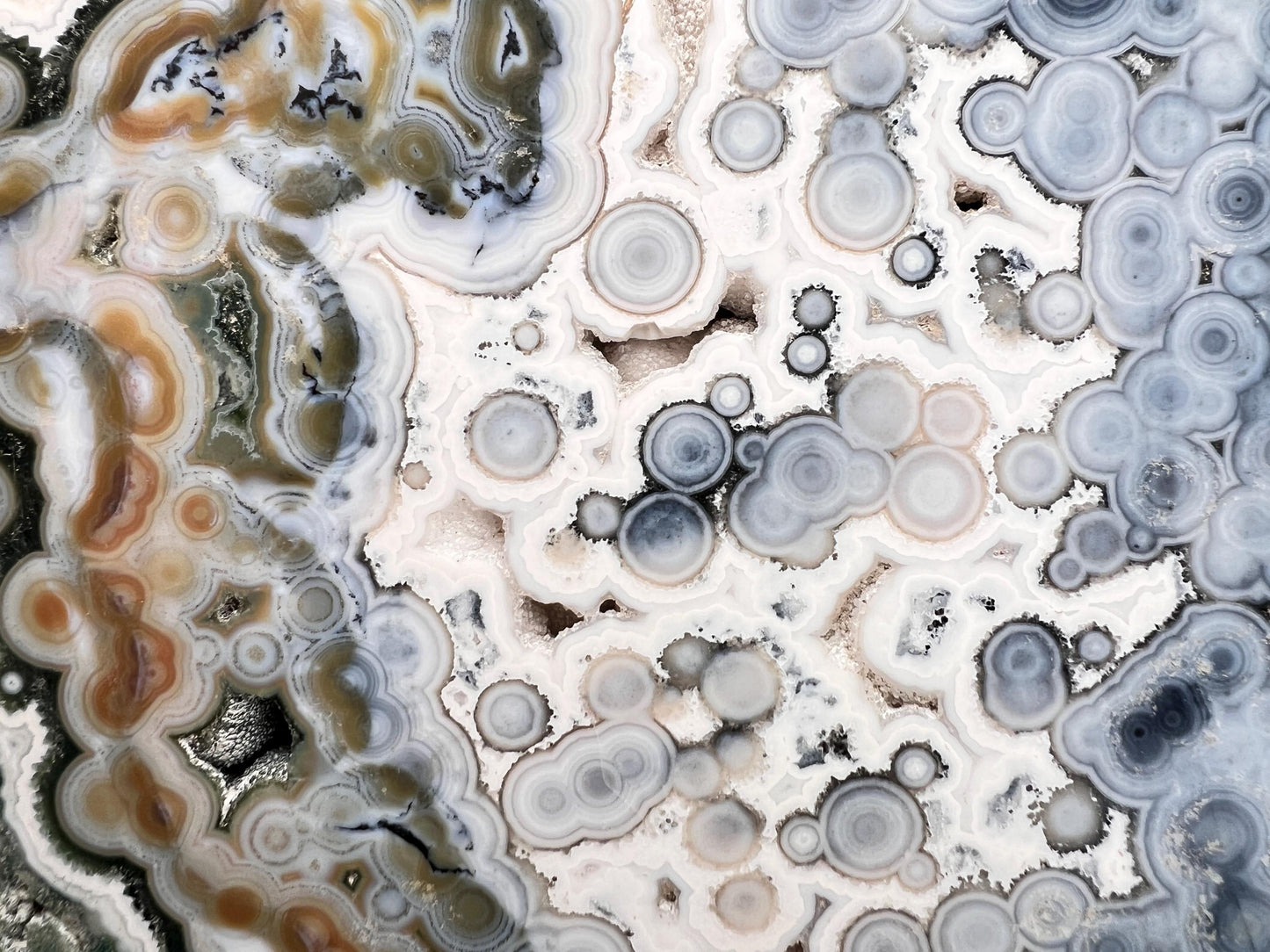 Ocean Jasper Vein 8 Large Blue Slab: XL Rare Collection High Grade Slab