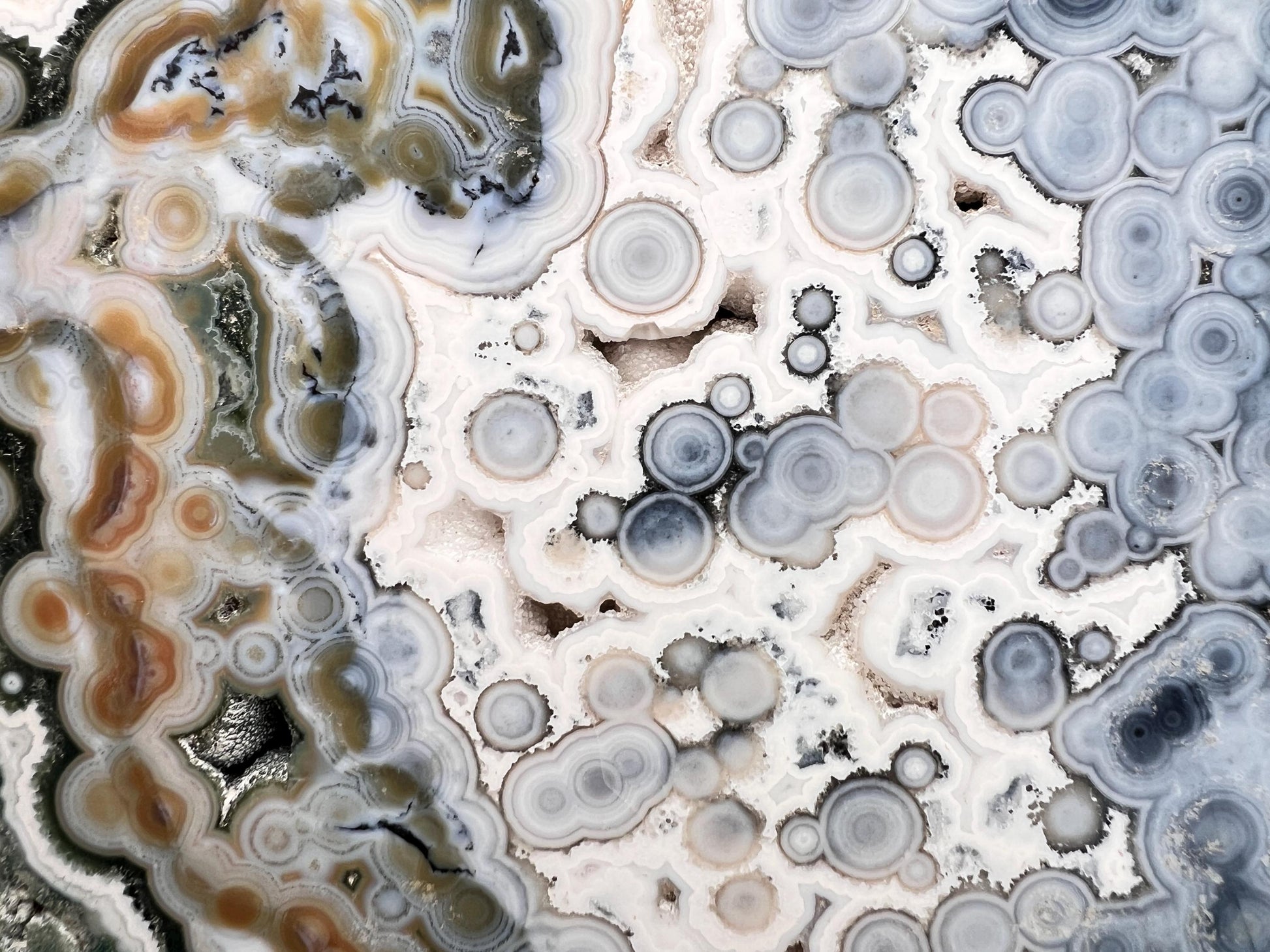 Ocean Jasper Vein 8 Large Blue Slab: XL Rare Collection High Grade Slab