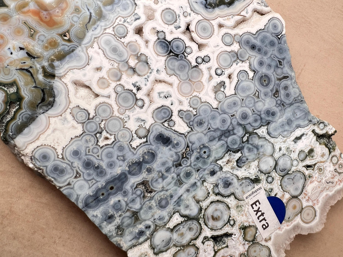 Ocean Jasper Vein 8 Large Blue Slab: XL Rare Collection High Grade Slab