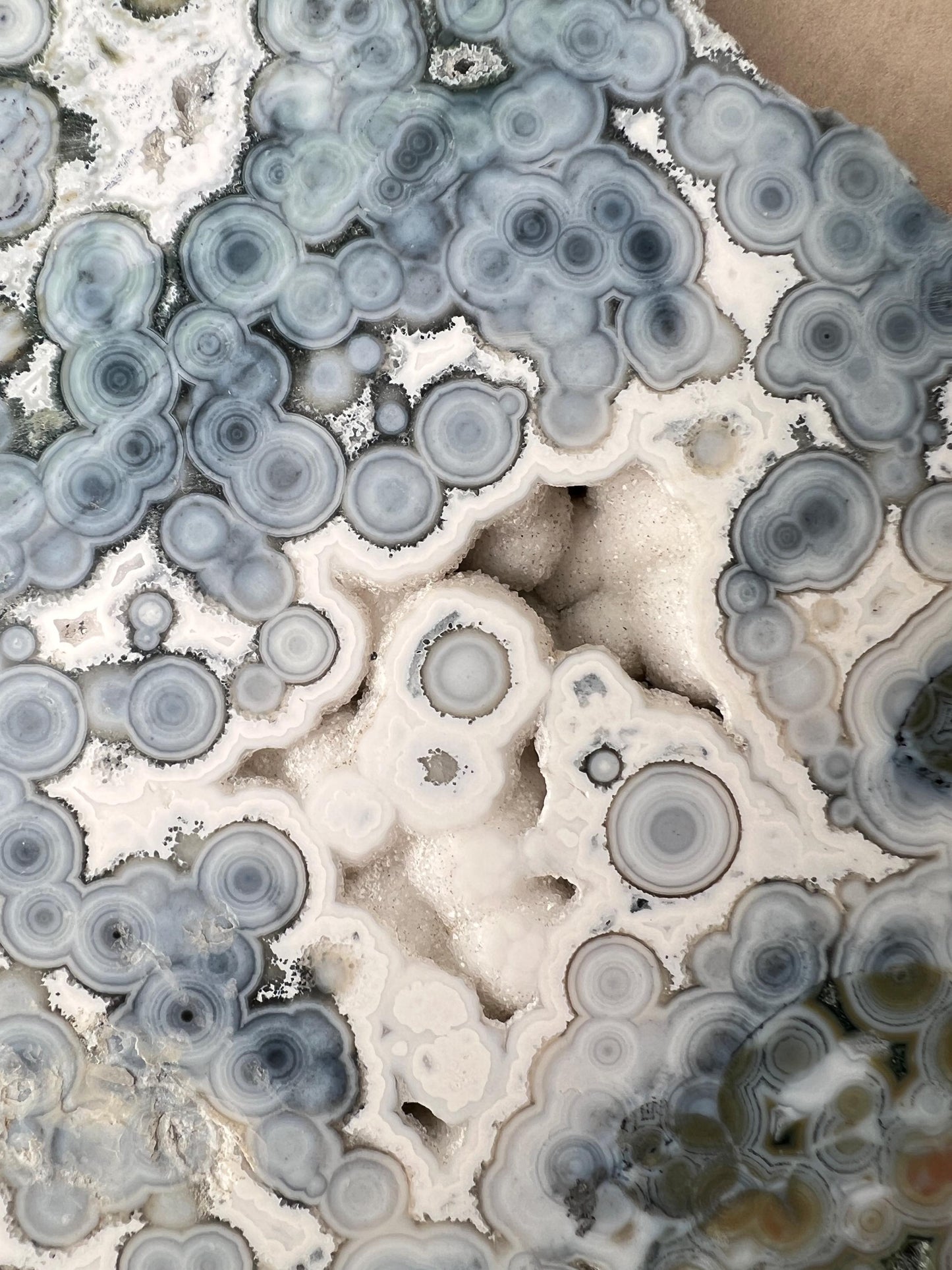Ocean Jasper Vein 8 Large Blue Slab: XL Rare Collection High Grade Slab