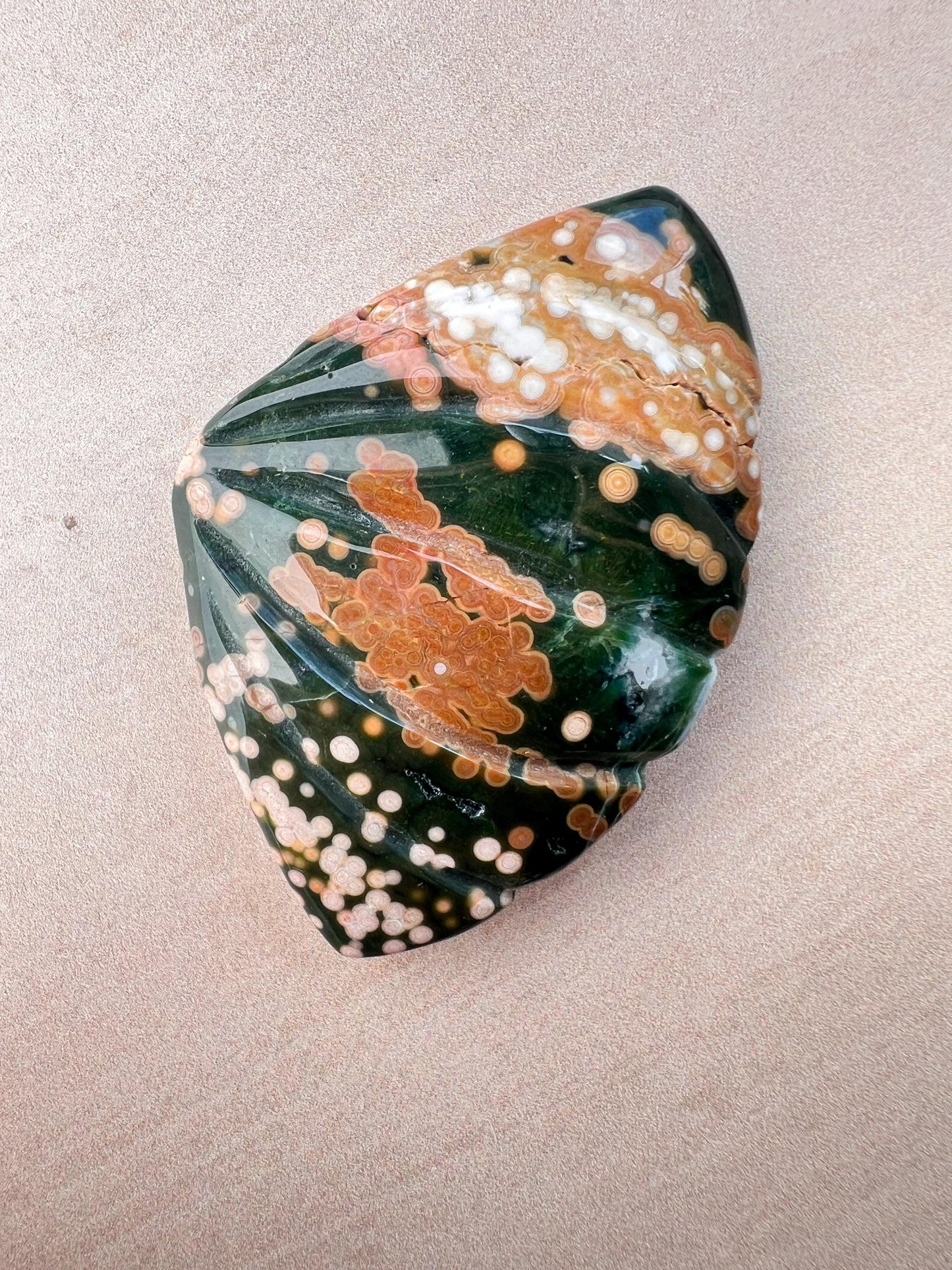 Rare Ocean Jasper Sea Shell Carving: Earthy Boho Beach Decor Specimen