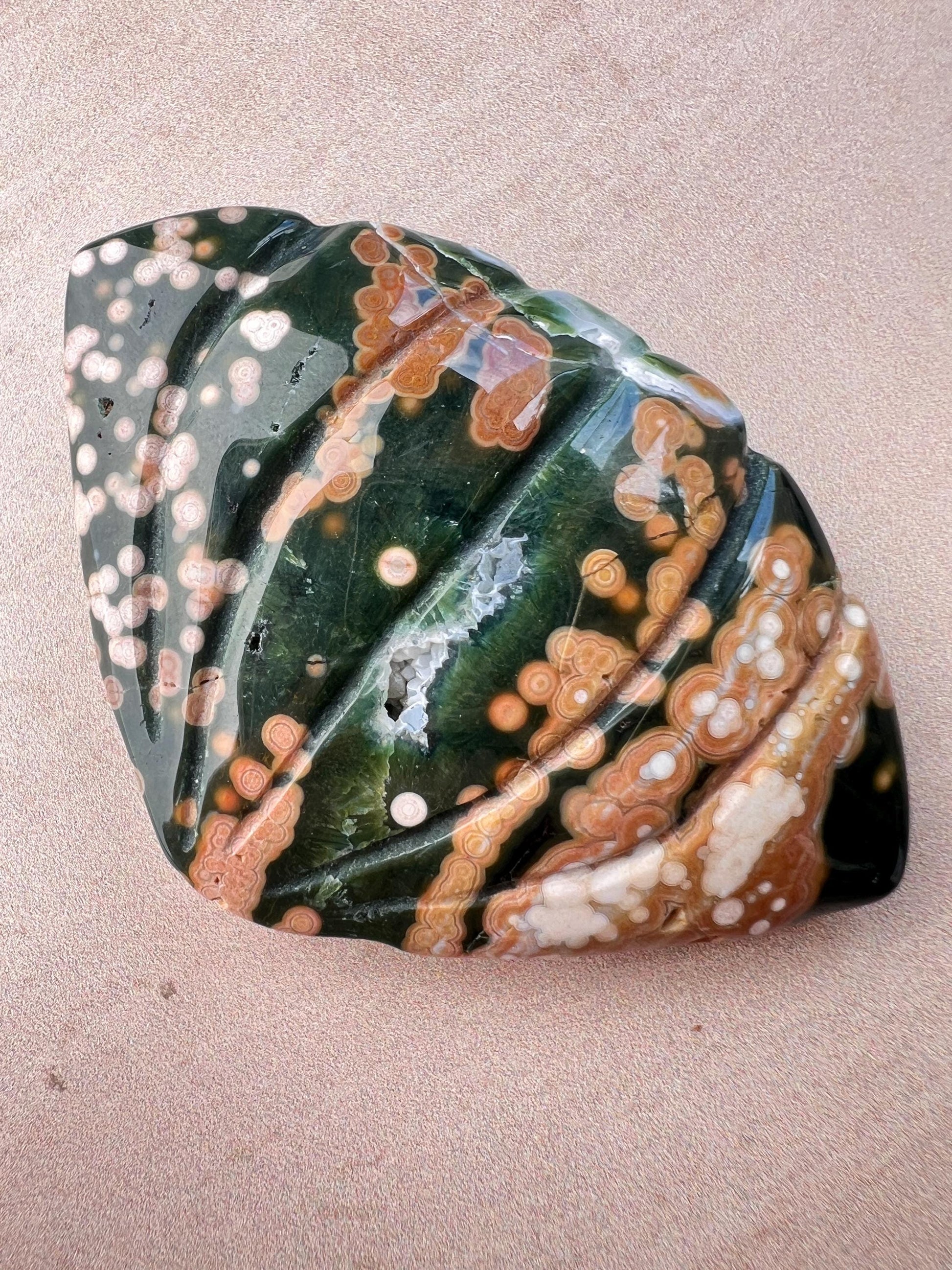Rare Ocean Jasper Sea Shell Carving: Earthy Boho Beach Decor Specimen