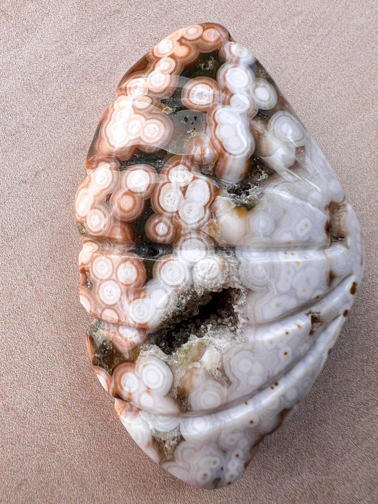 Rare Ocean Jasper Sea Shell Carving: Crystal Shell Beach Decor