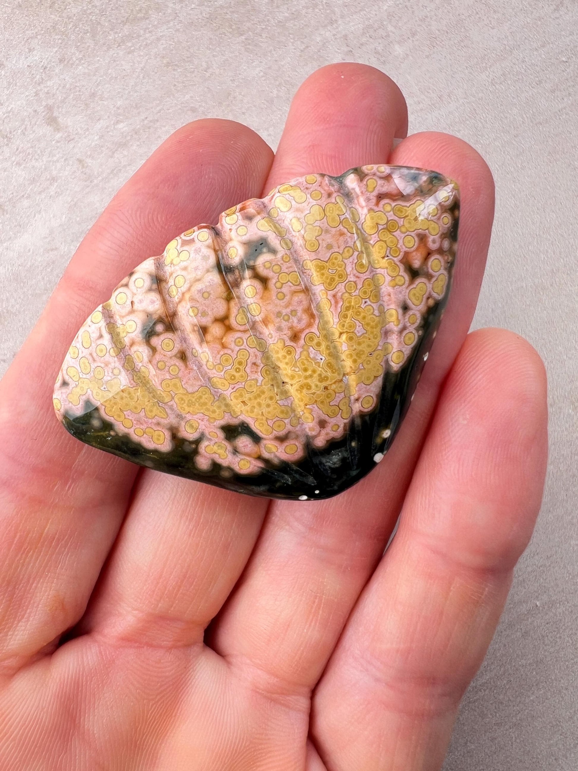Ocean Jasper Sea Shell Carving: Rare Collector Specimen, Beach Boho Decor