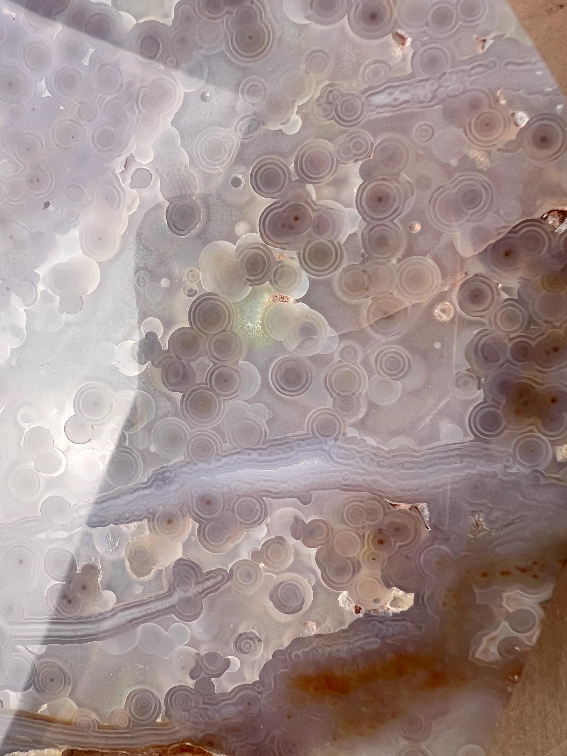 Ocean Jasper Jelly Slab: Old Stock Vein 3-4