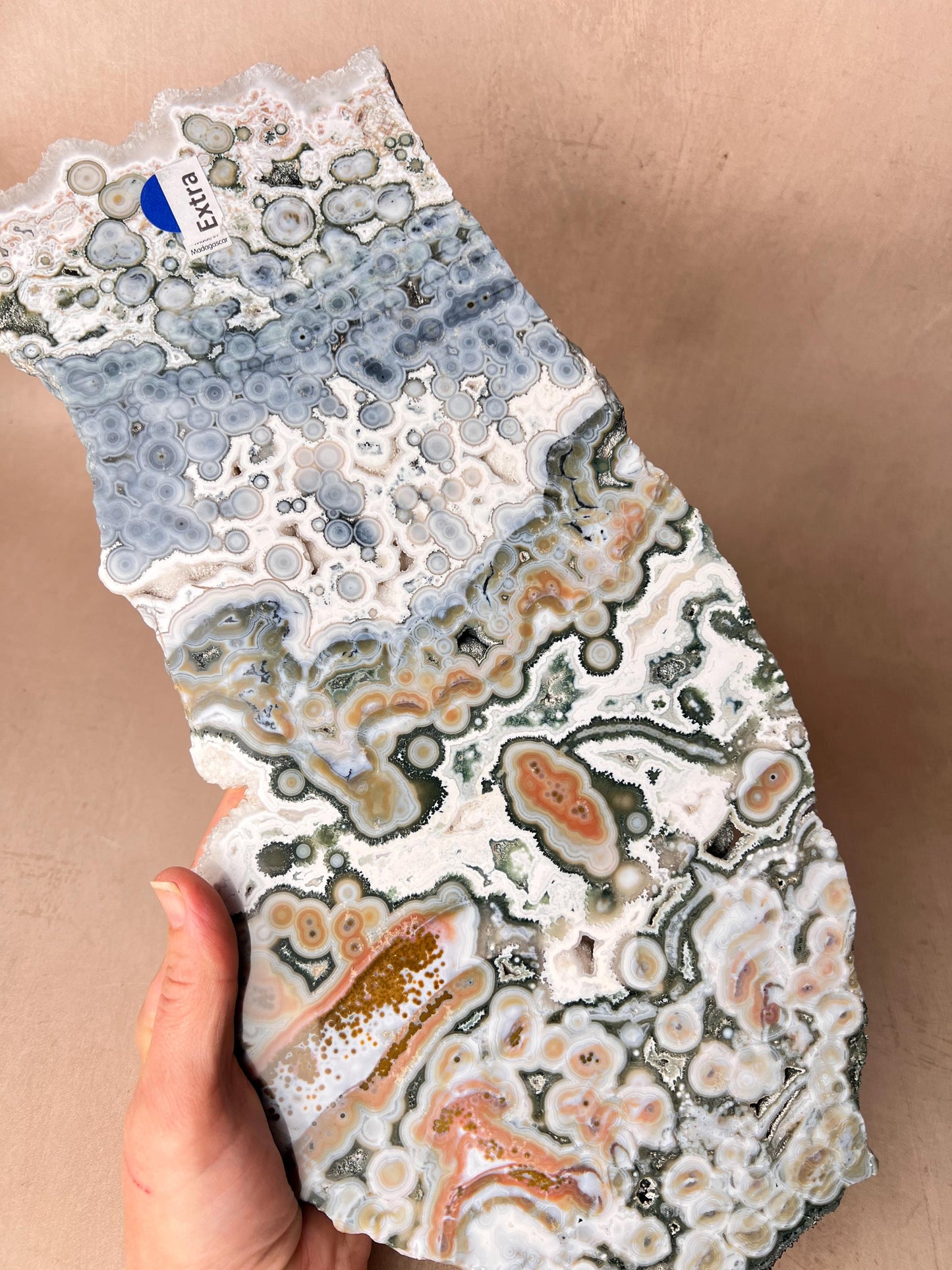 Ocean Jasper Vein 8 Large Blue Slab: XL Rare Collection High Grade Slab