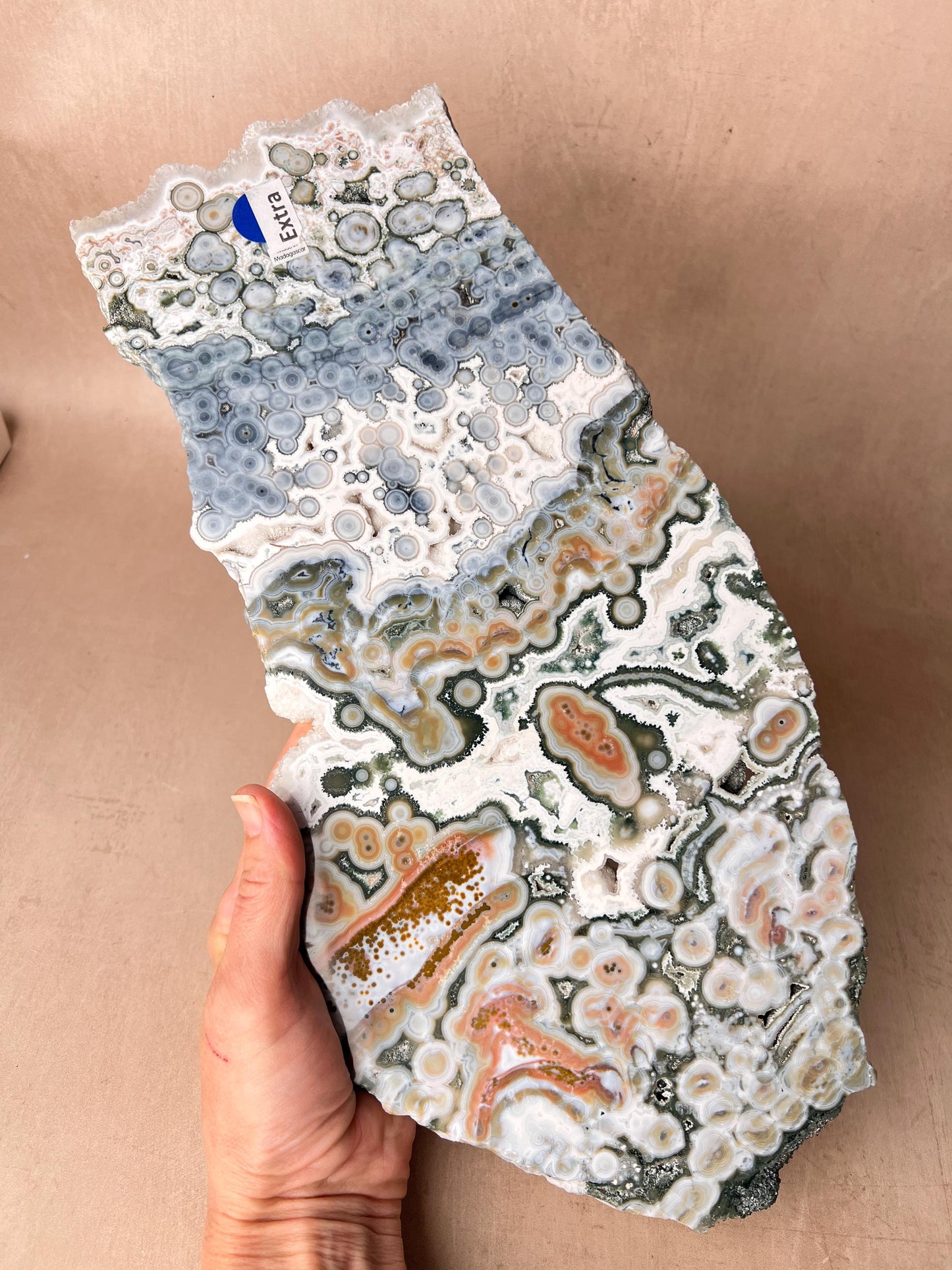 Ocean Jasper Vein 8 Large Blue Slab: XL Rare Collection High Grade Slab