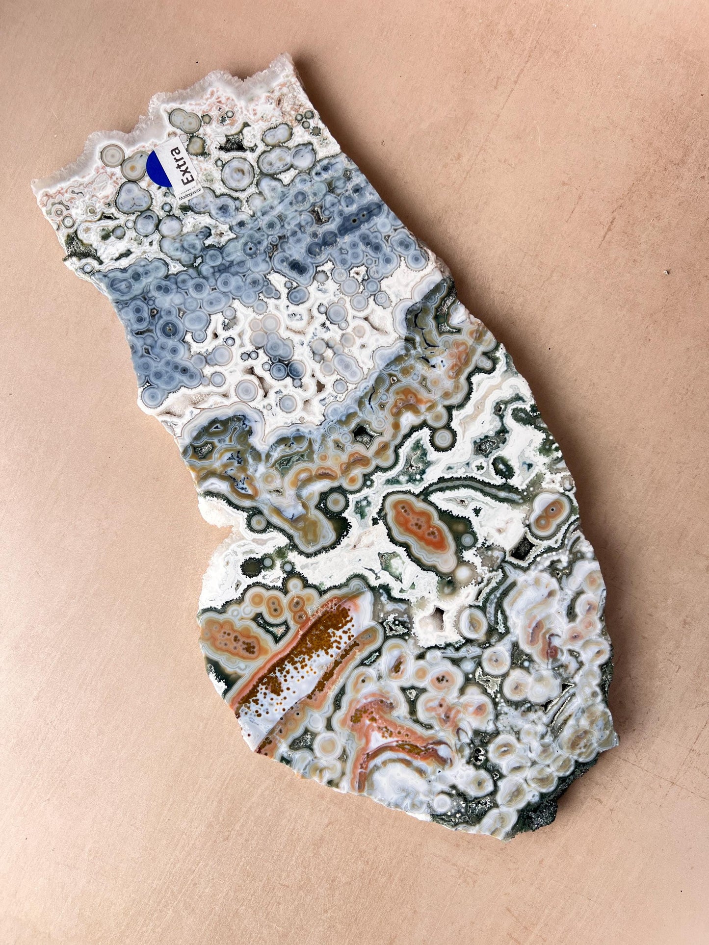 Ocean Jasper Vein 8 Large Blue Slab: XL Rare Collection High Grade Slab