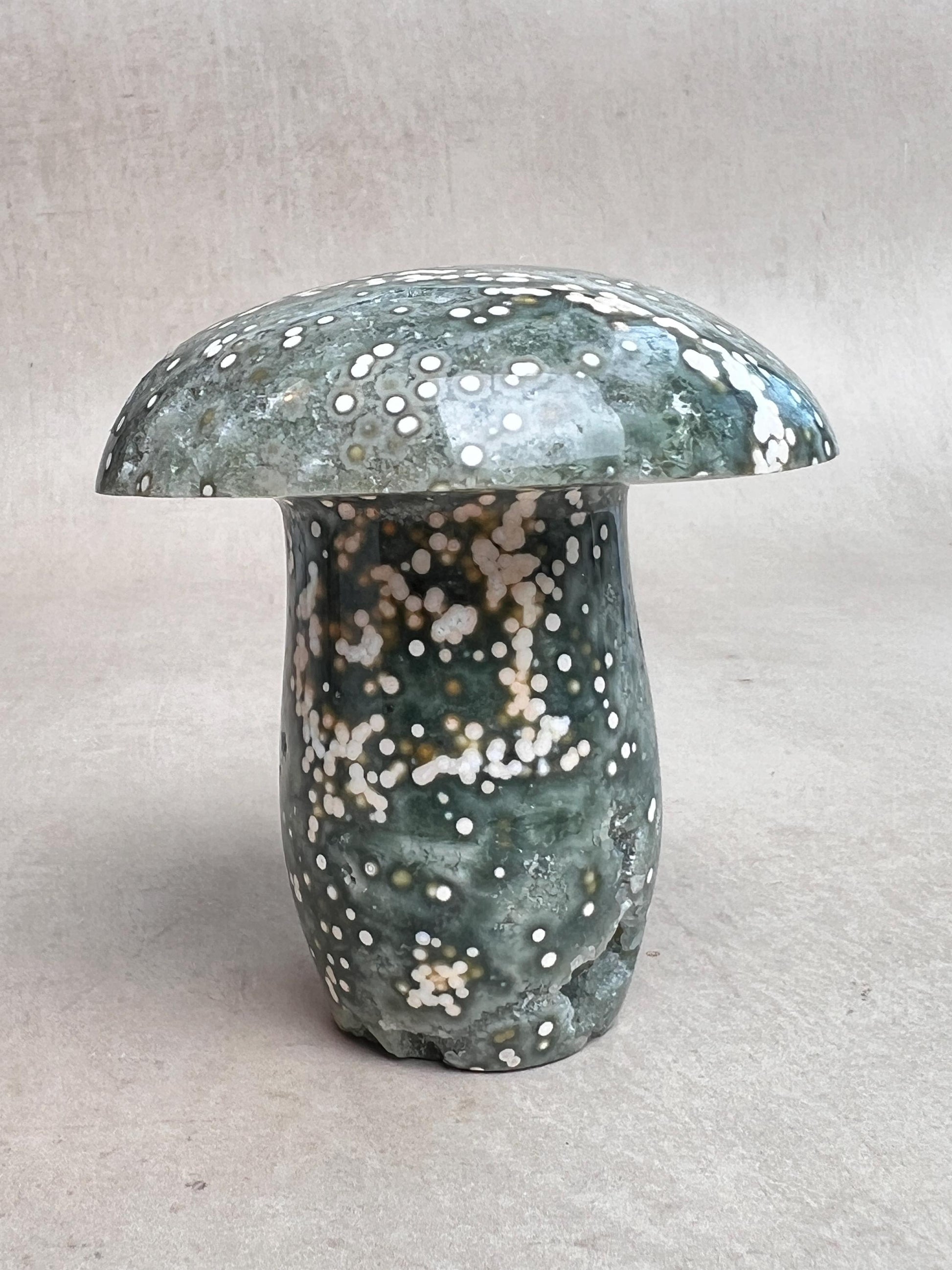 Hand Carved Ocean Jasper Mushroom: Veinless Green Druze