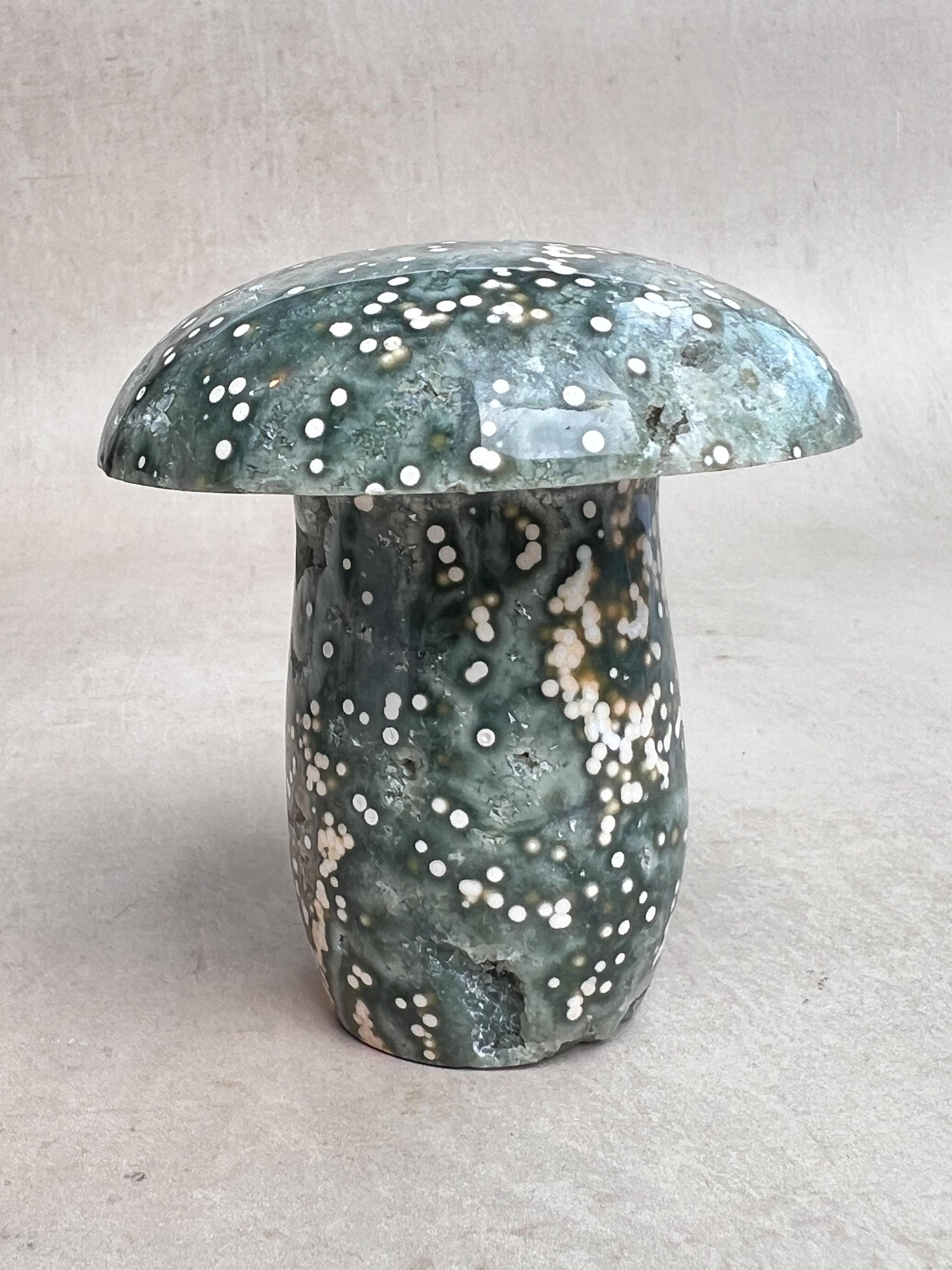 Hand Carved Ocean Jasper Mushroom: Veinless Green Druze