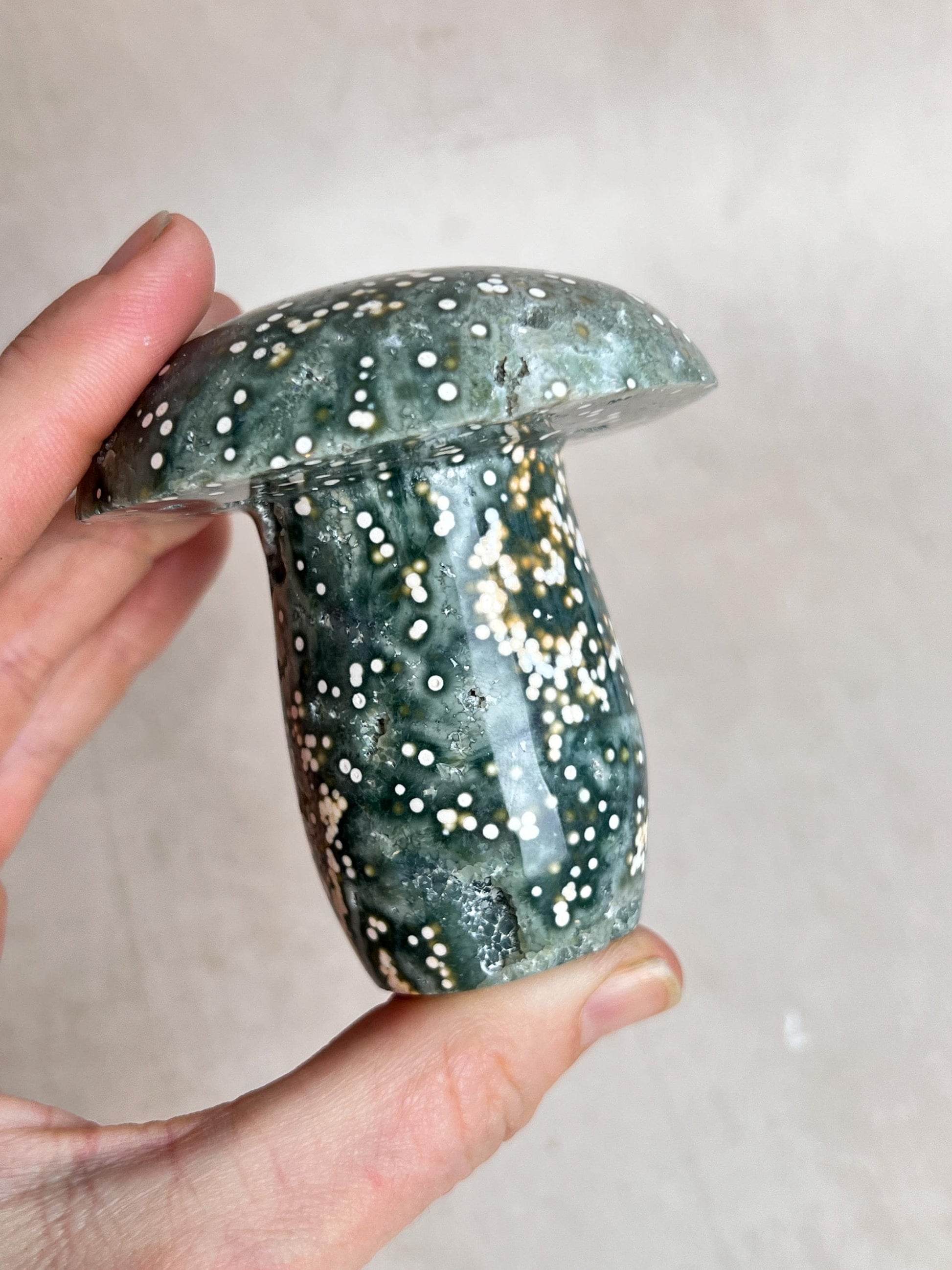 Hand Carved Ocean Jasper Mushroom: Veinless Green Druze