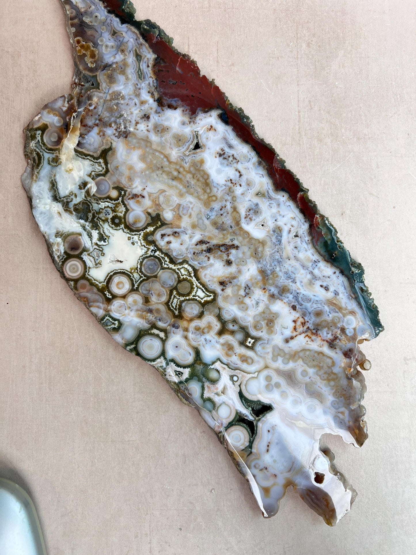 Ocean Jasper Slab : Vein 8 Rare Brown Presentation