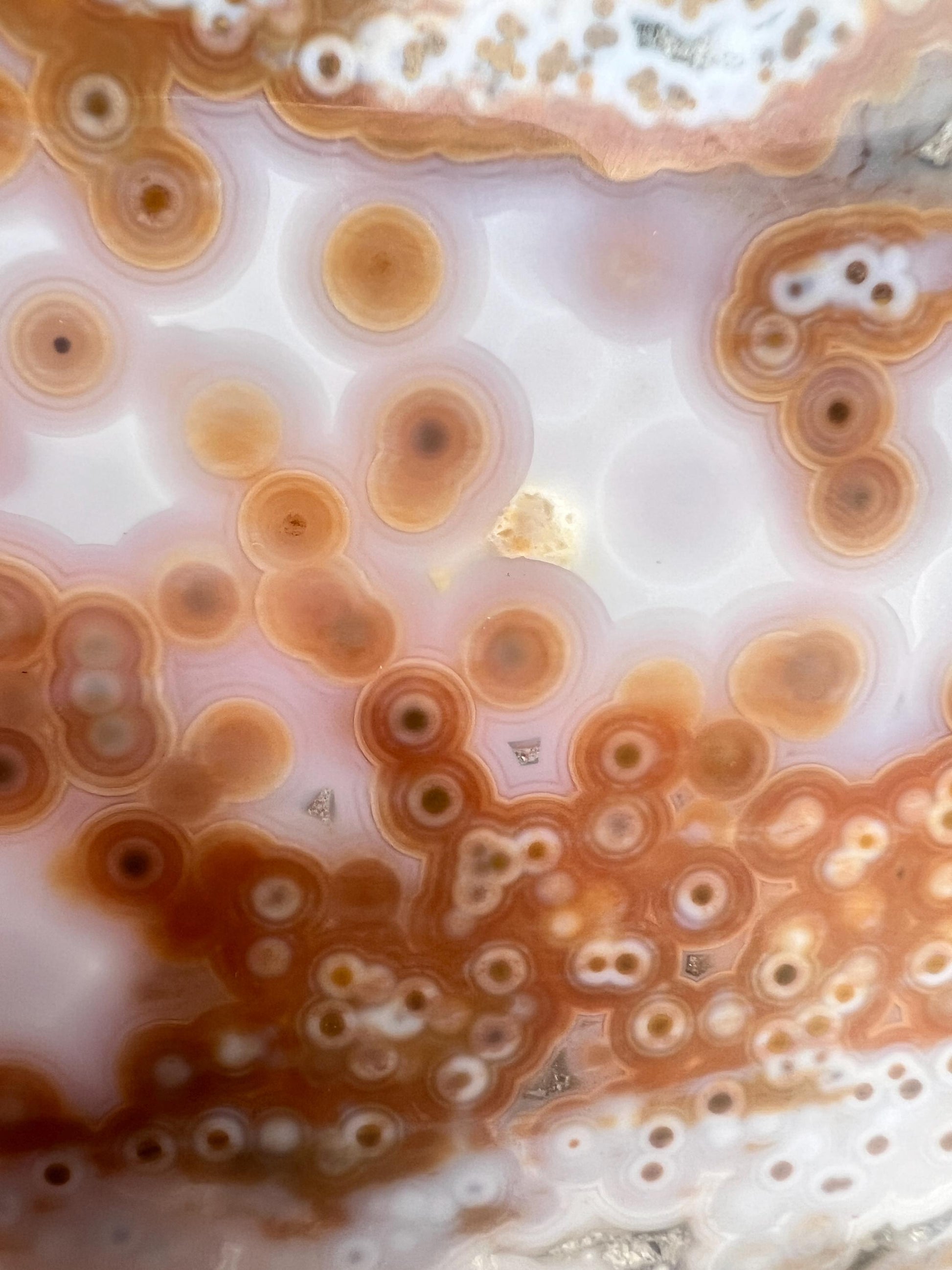 Ocean Jasper Polished Slab: Vein 3-4 Jelly Orbs