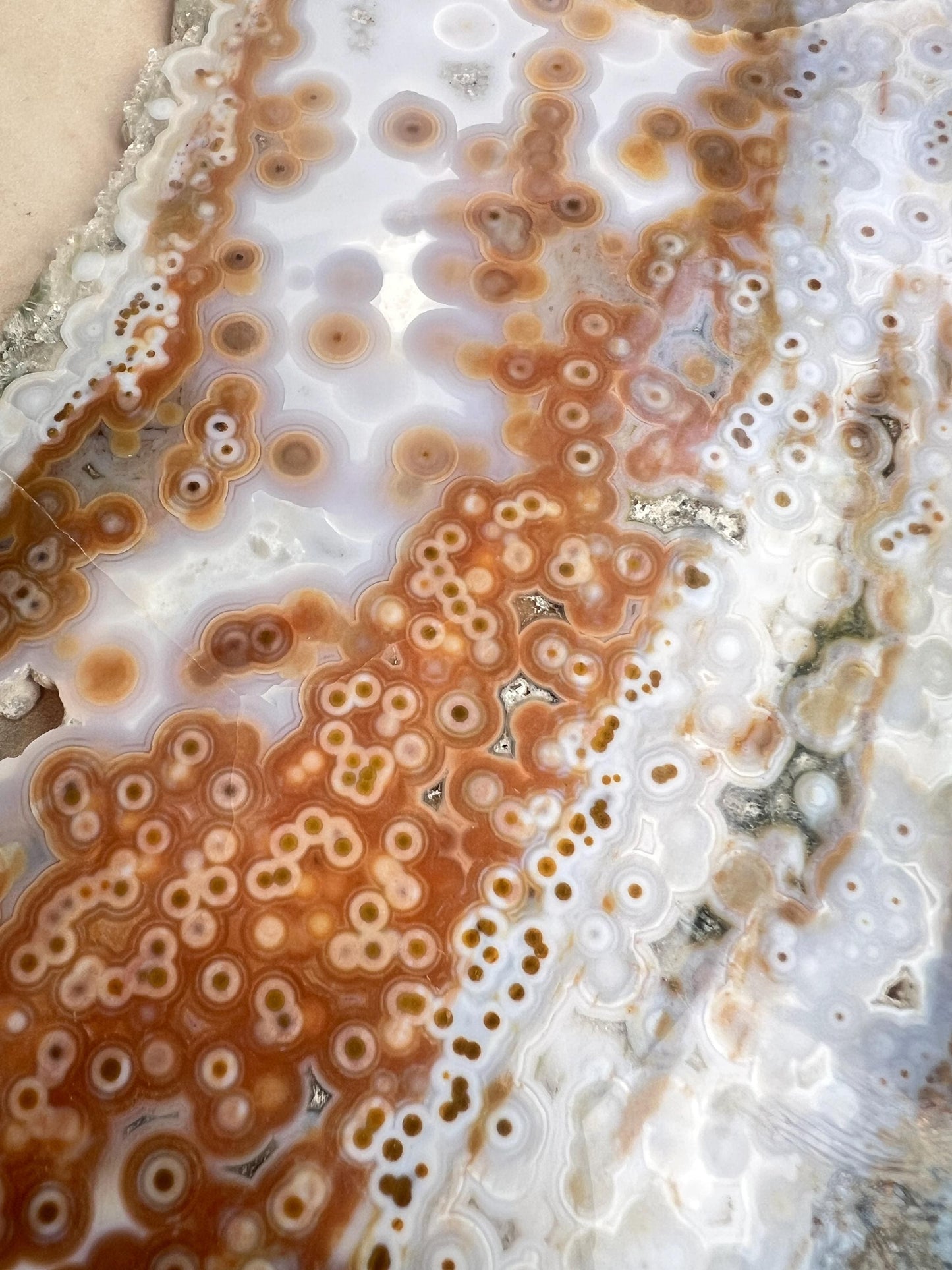 Ocean Jasper Polished Slab: Vein 3-4 Jelly Orbs