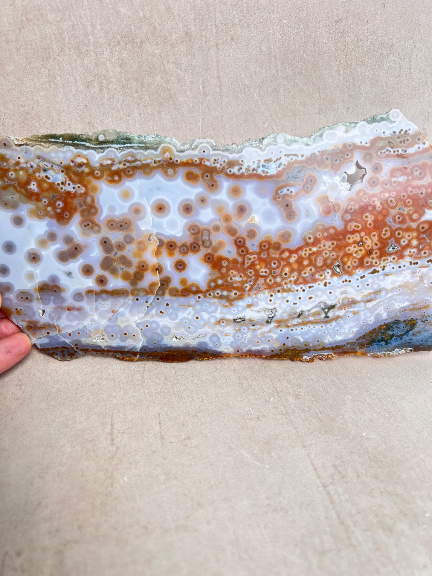 Ocean Jasper Polished Slab: Vein 3-4 Jelly Orbs