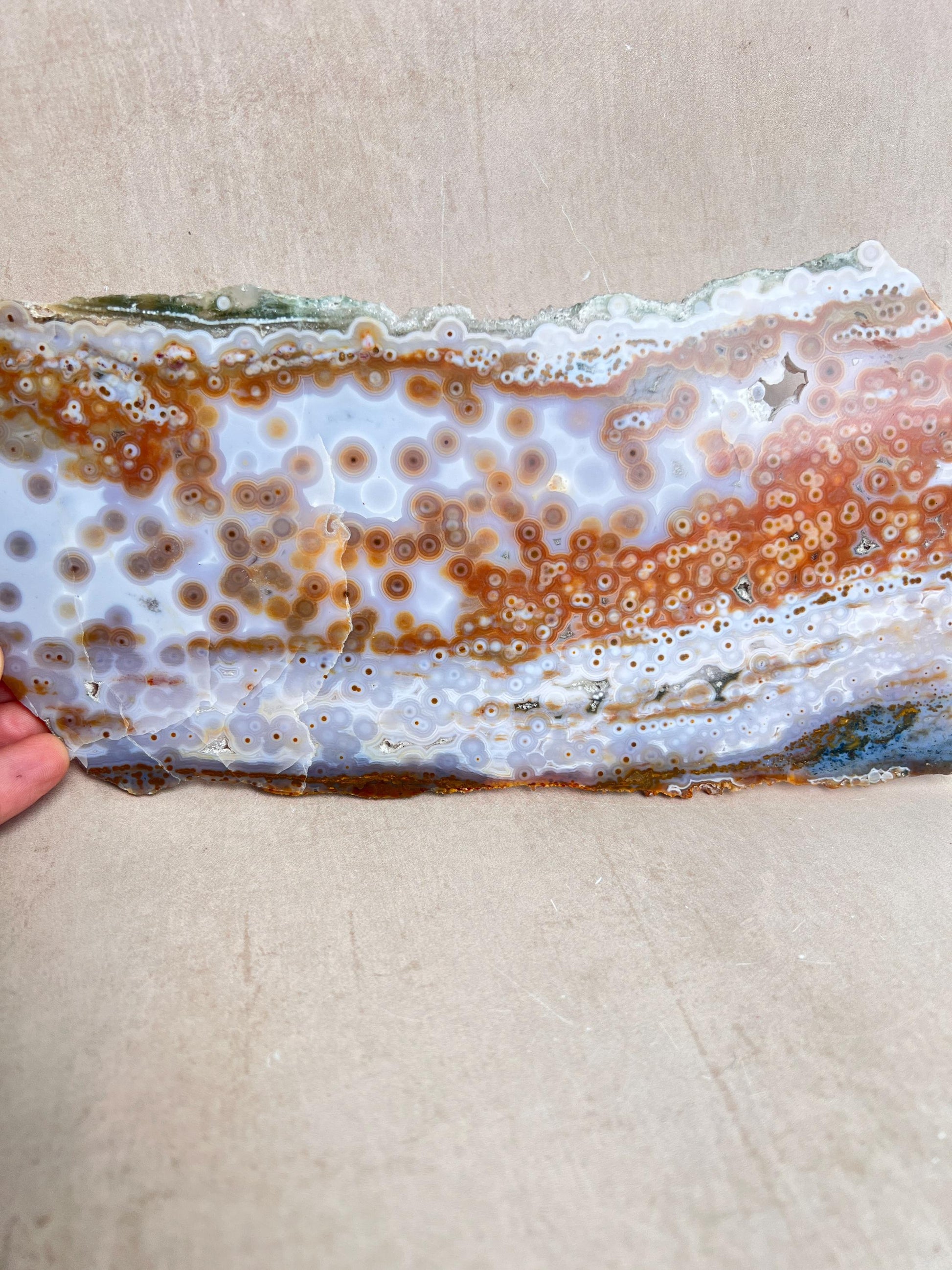 Ocean Jasper Polished Slab: Vein 3-4 Jelly Orbs