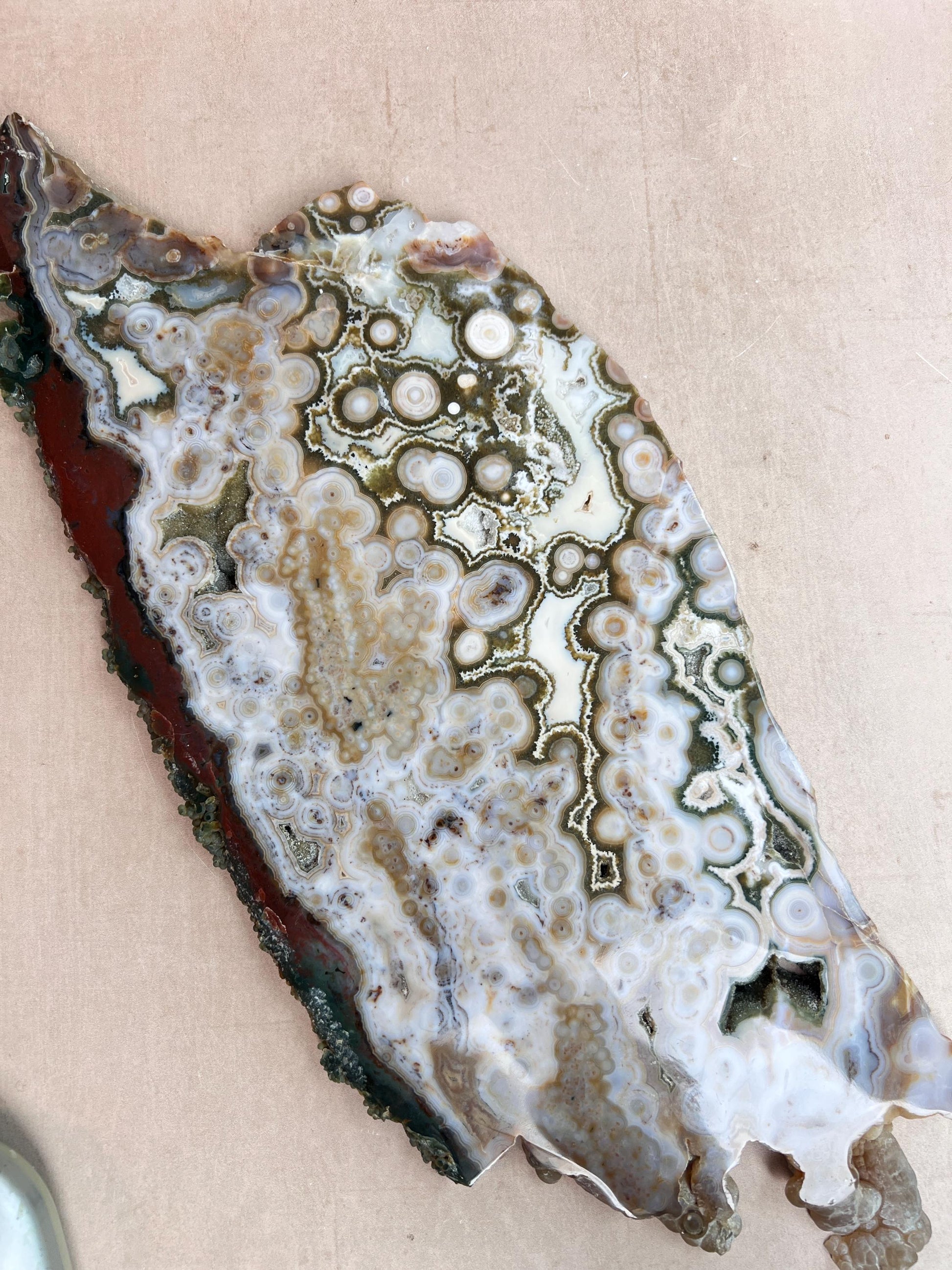 Ocean Jasper Slab : Vein 8 Rare Brown Presentation