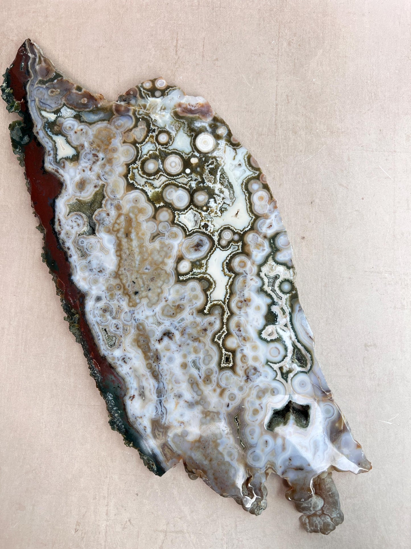 Ocean Jasper Slab : Vein 8 Rare Brown Presentation