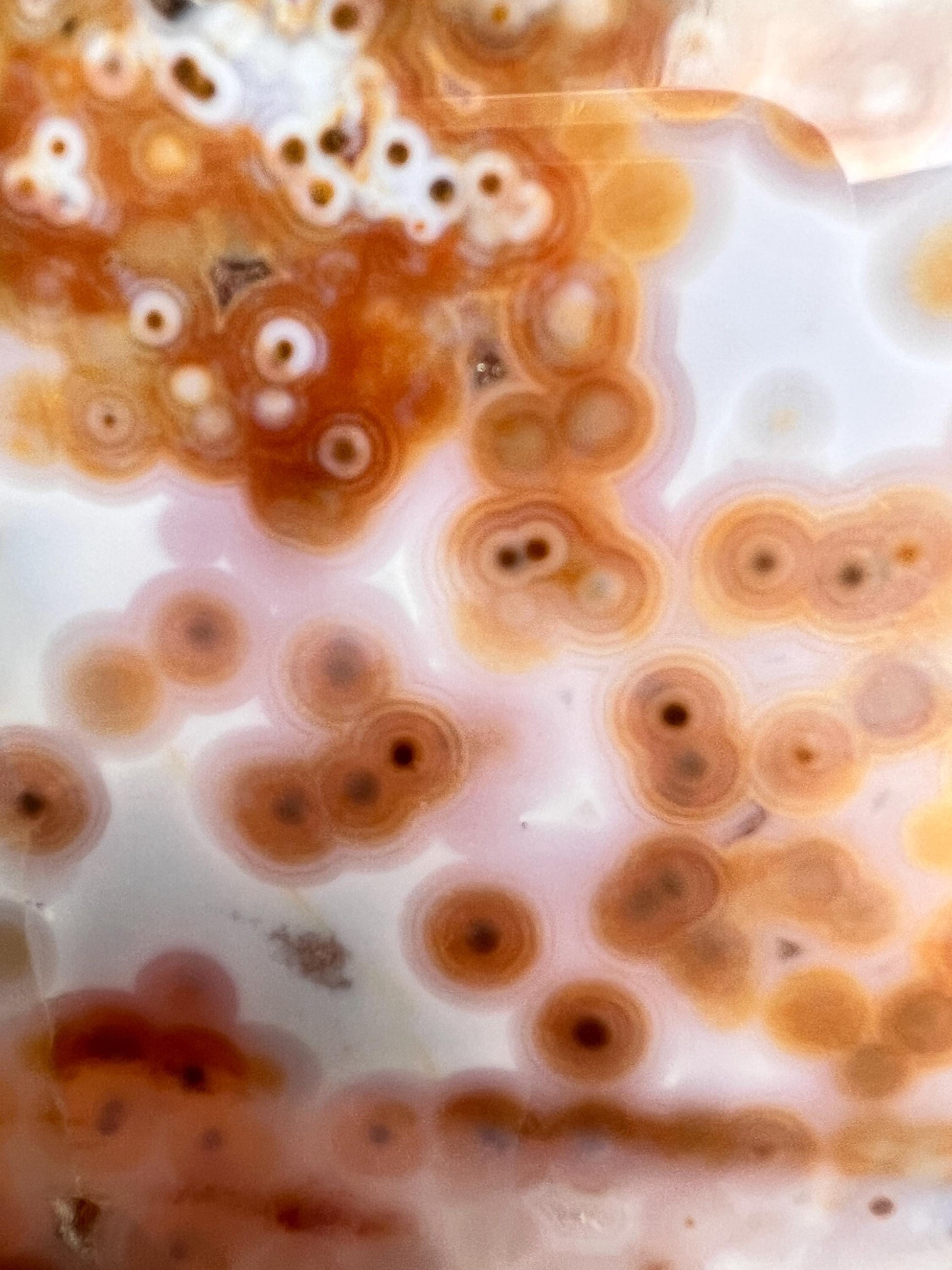 Ocean Jasper Polished Slab: Vein 3-4 Jelly Orbs