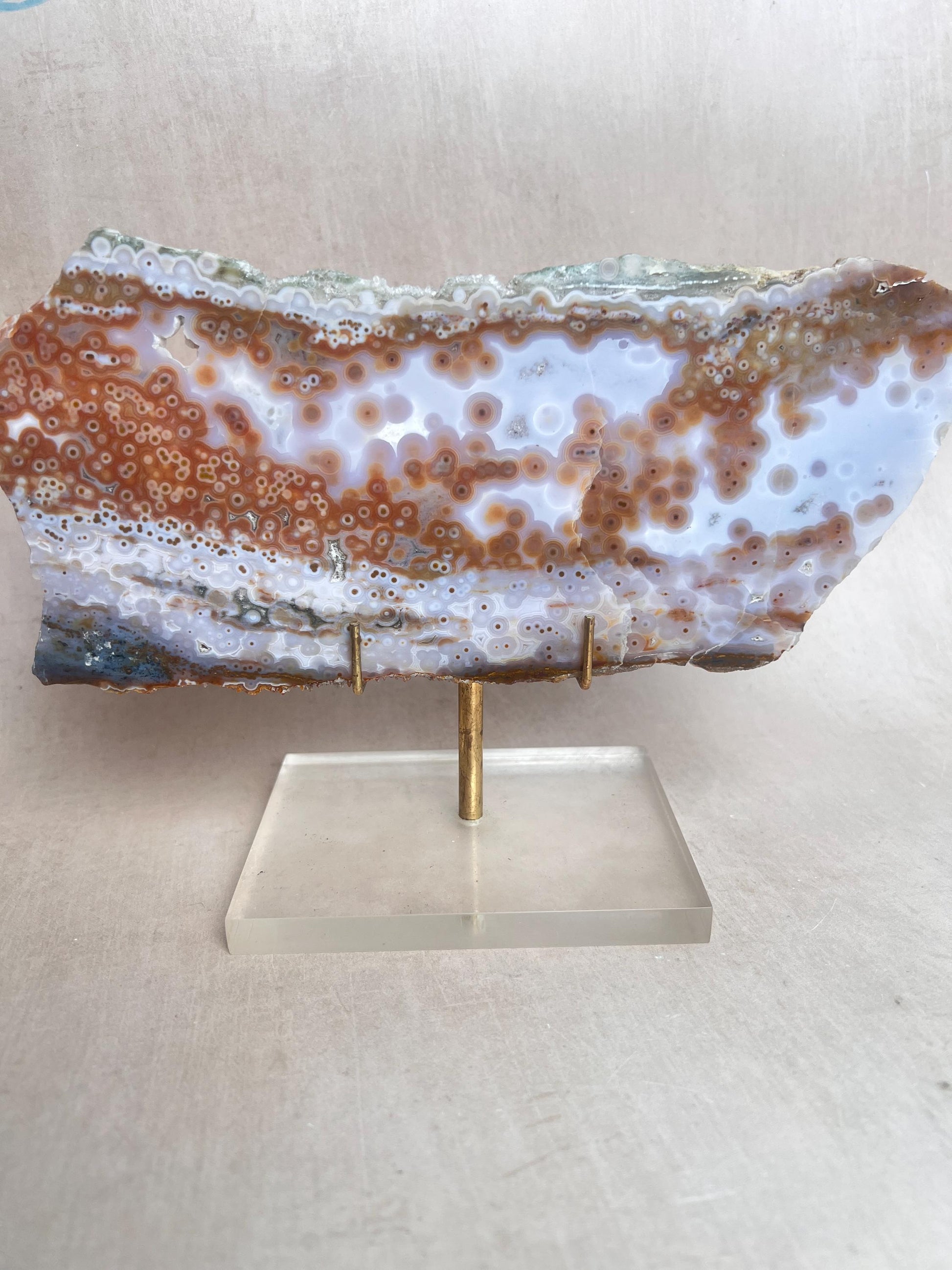 Ocean Jasper Polished Slab: Vein 3-4 Jelly Orbs