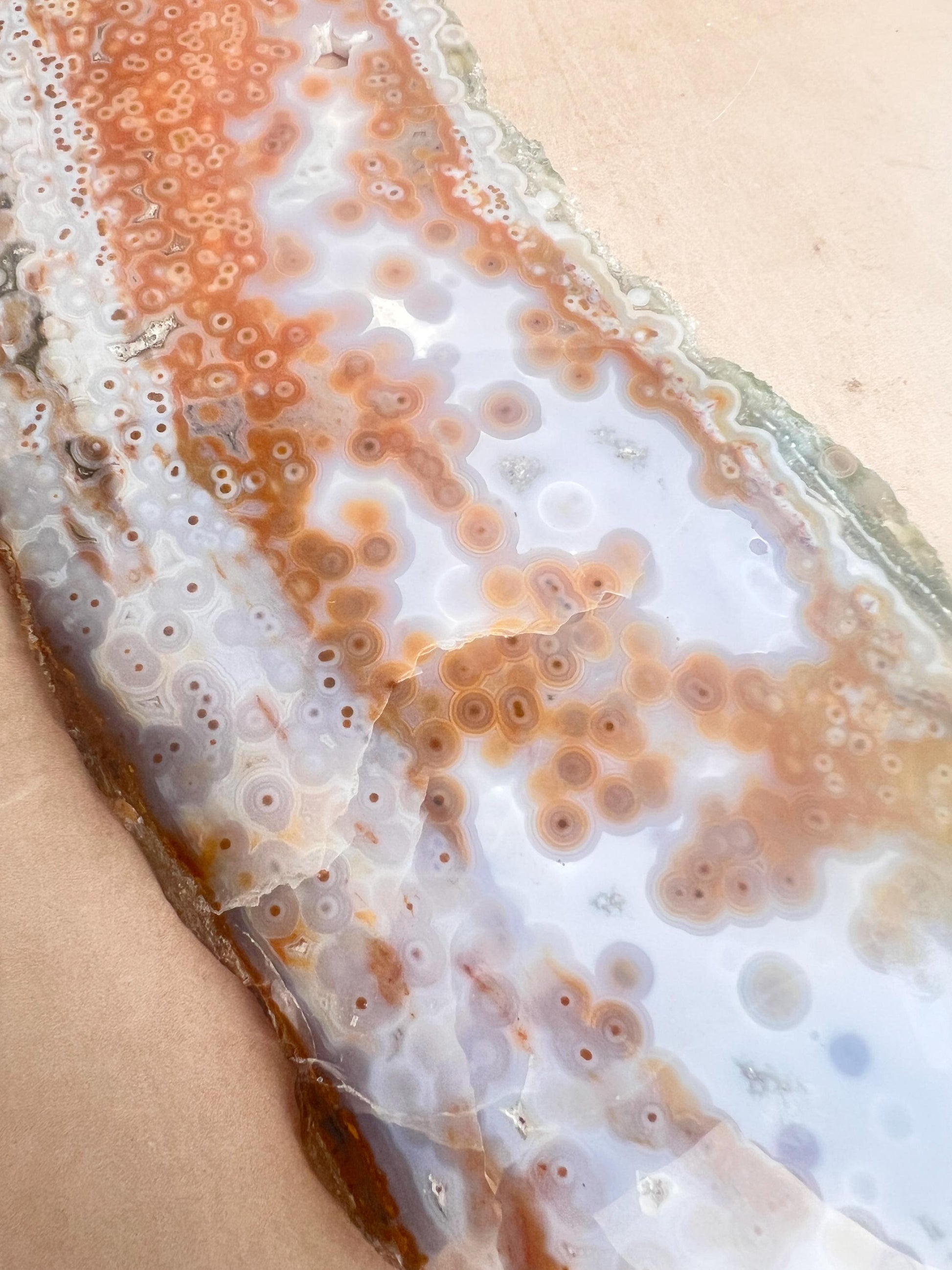 Ocean Jasper Polished Slab: Vein 3-4 Jelly Orbs