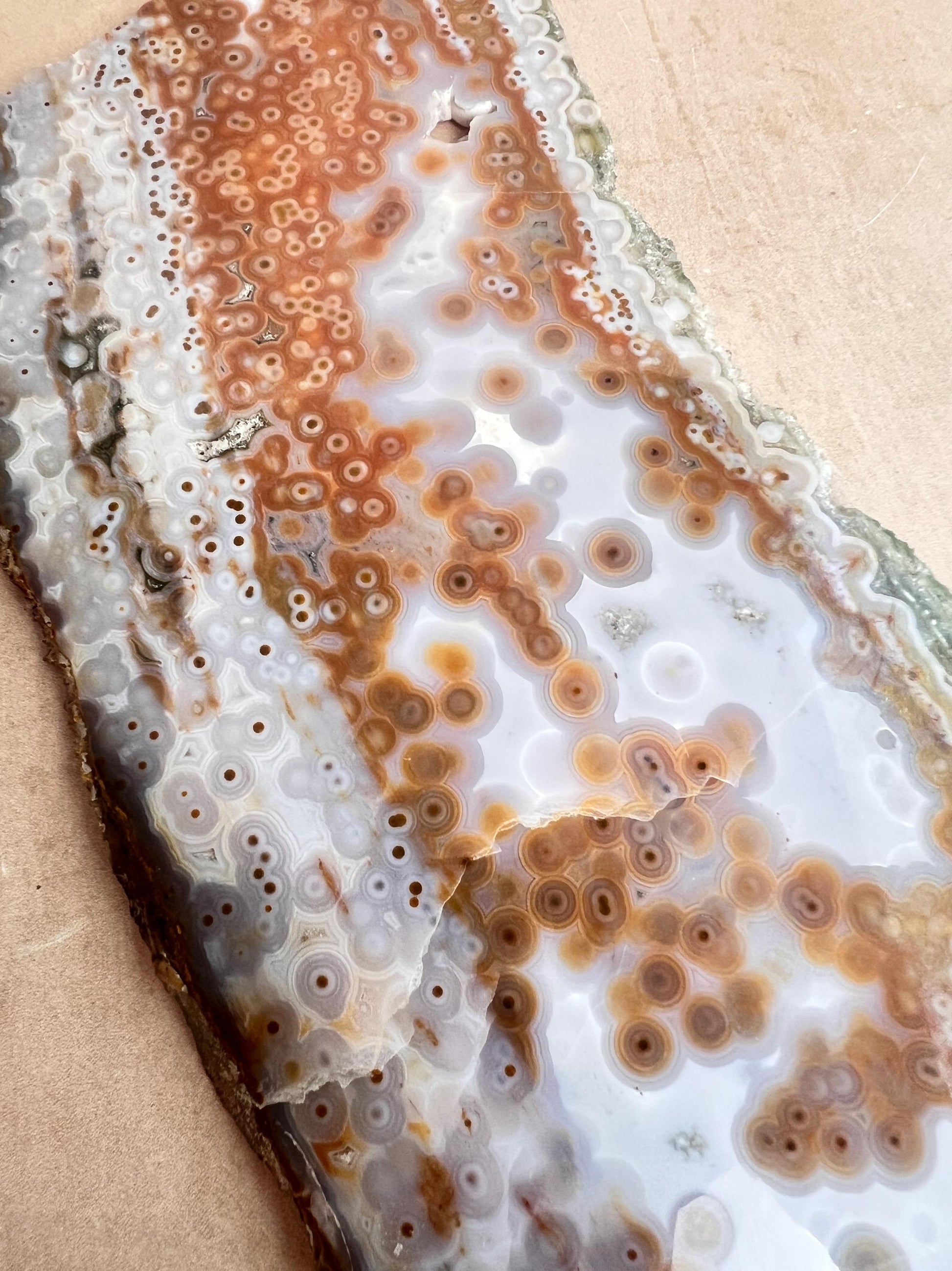 Ocean Jasper Polished Slab: Vein 3-4 Jelly Orbs