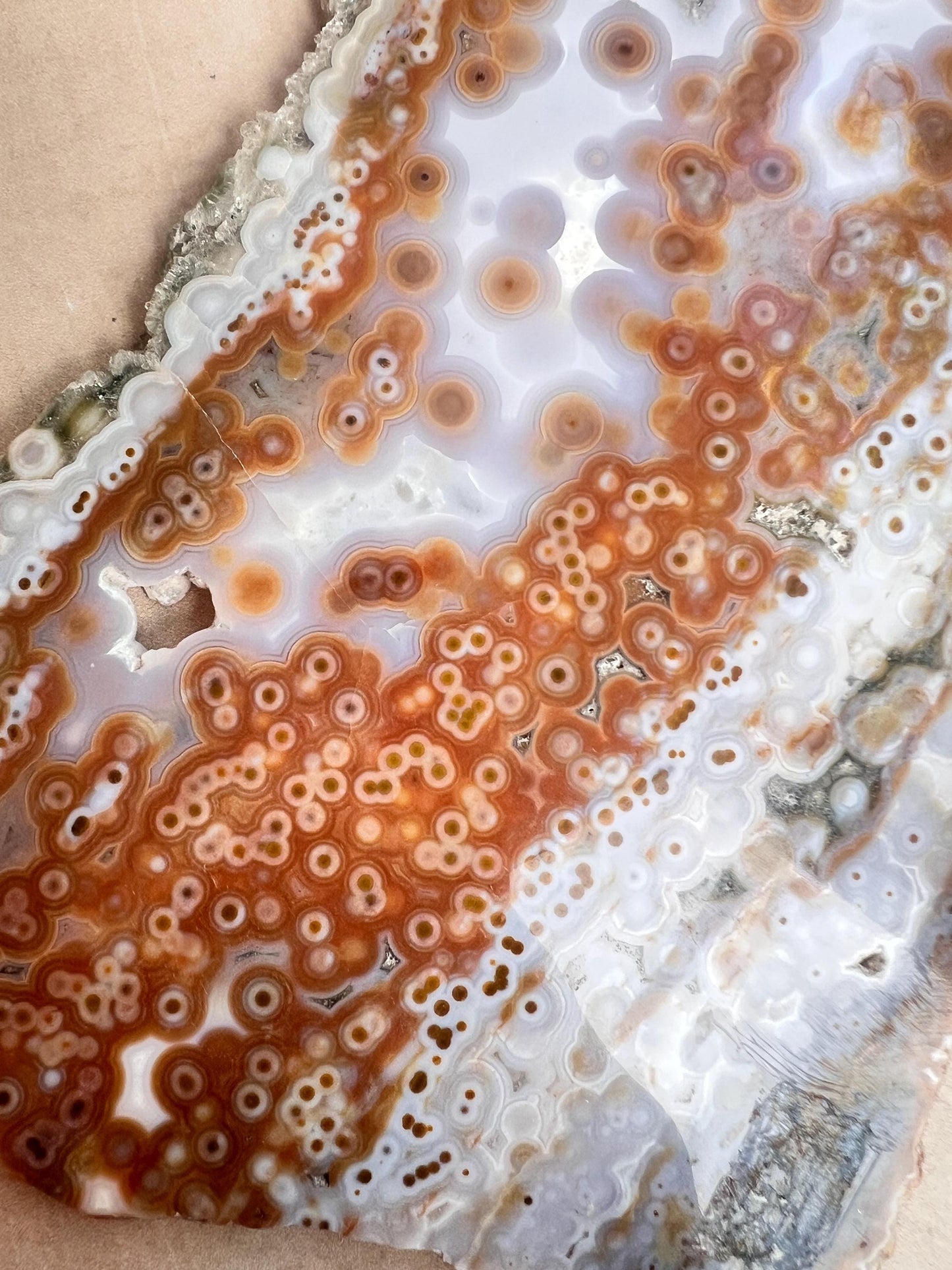 Ocean Jasper Polished Slab: Vein 3-4 Jelly Orbs