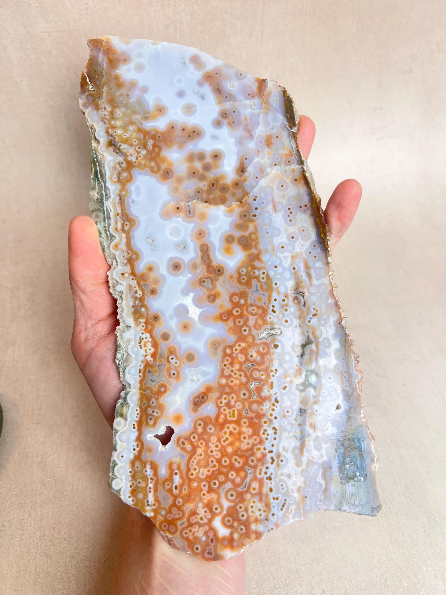 Ocean Jasper Polished Slab: Vein 3-4 Jelly Orbs