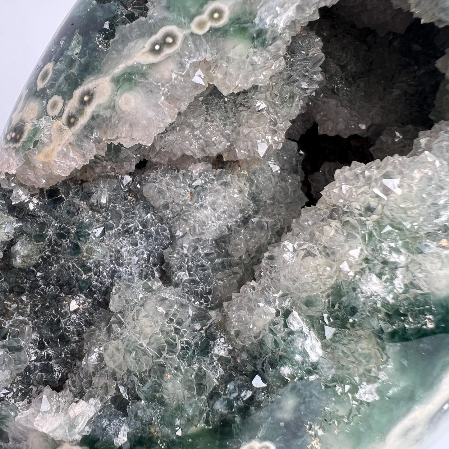 Rare Early Vein Ocean Jasper Free Form – Large Green Yellow Druzy Collector Crystal