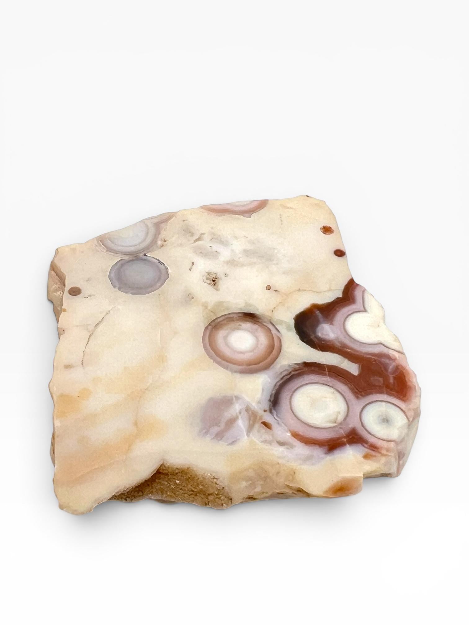 Ocean Jasper Vein 1-2 Rare Collector Semi Polished Piece
